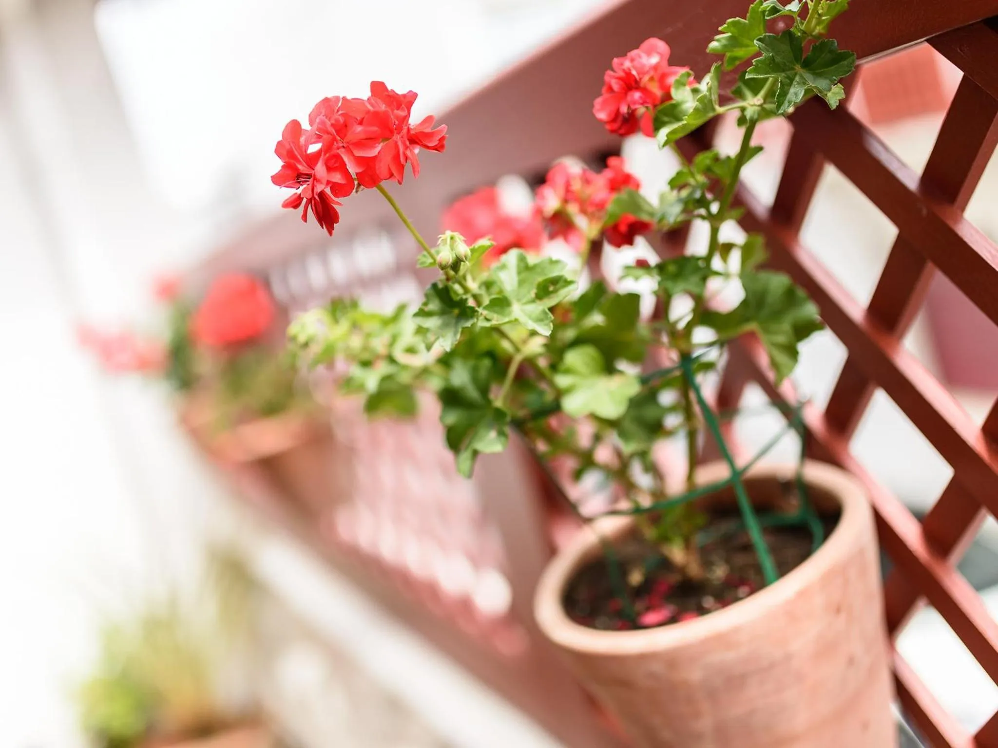 Decorative detail in Hotel Les Almadies - Coeur de Ville