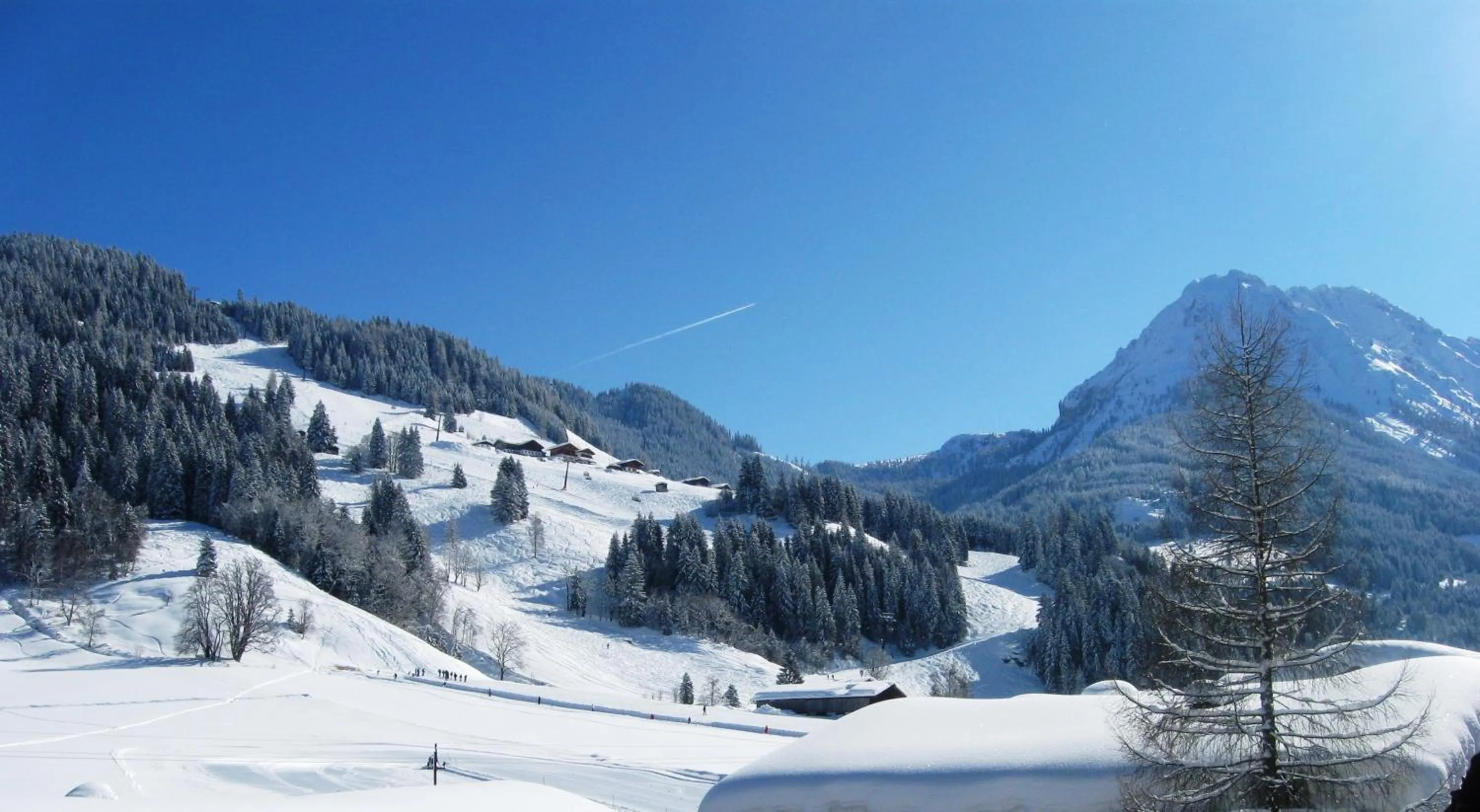 Natural landscape in Familienhotel Botenwirt