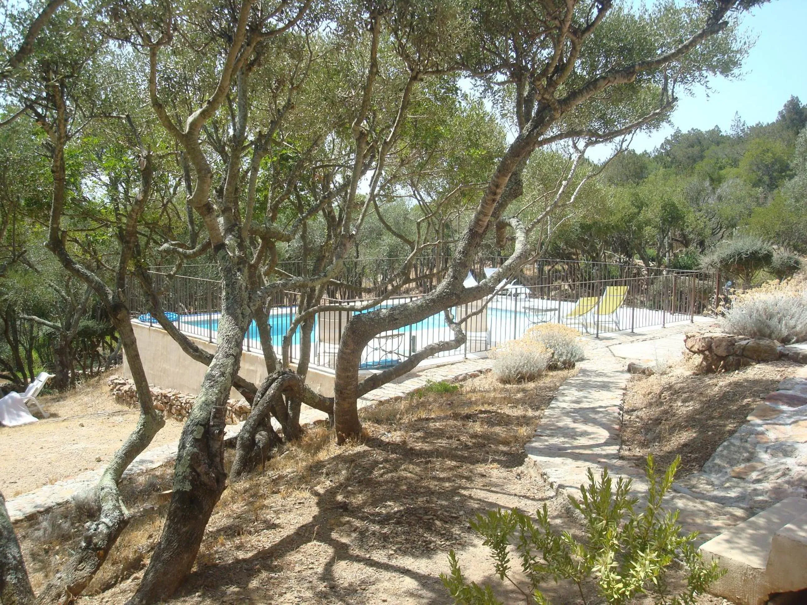 Swimming pool in Maison Tavolara