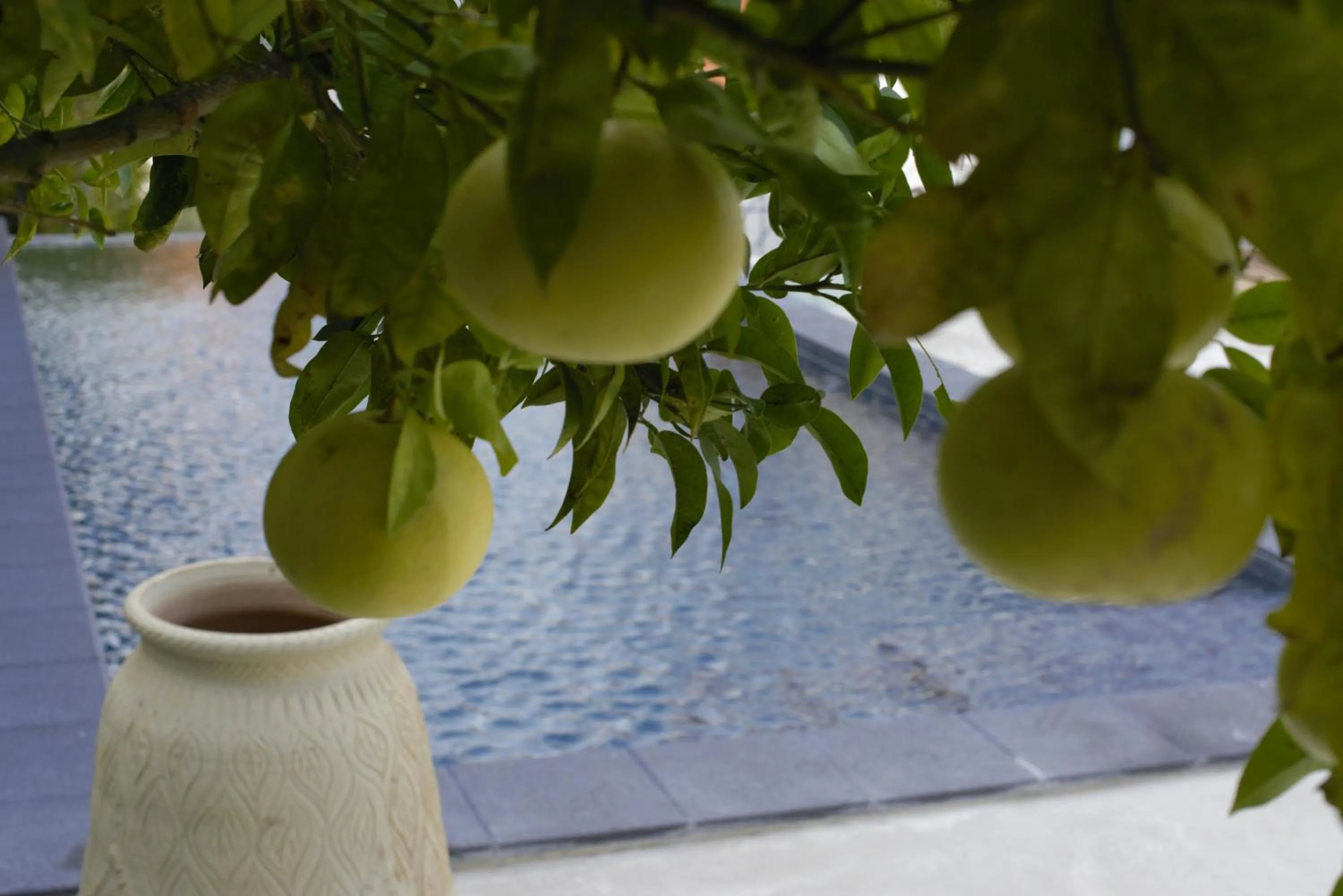 Swimming pool in Residence Hotel Baia Portinenti