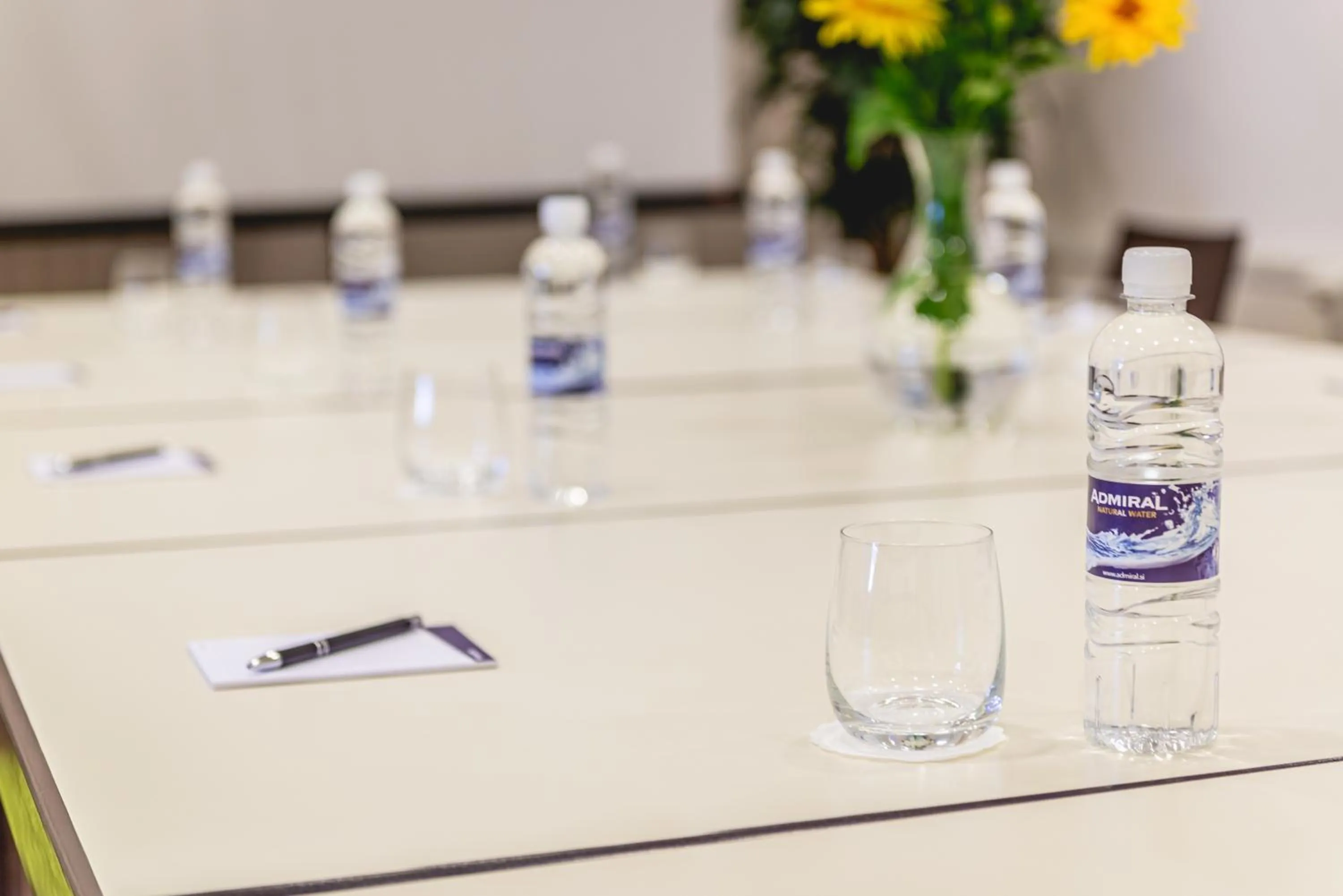 Meeting/conference room in Casino & Hotel ADMIRAL Kozina