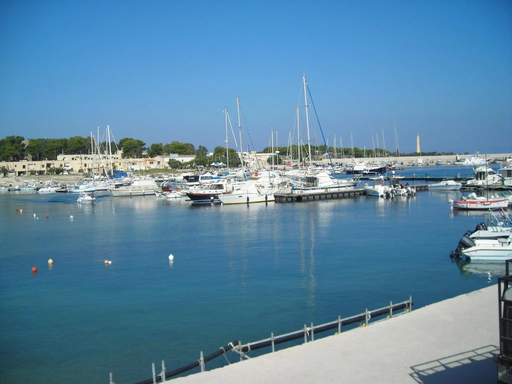 Fishing in Sun Garden