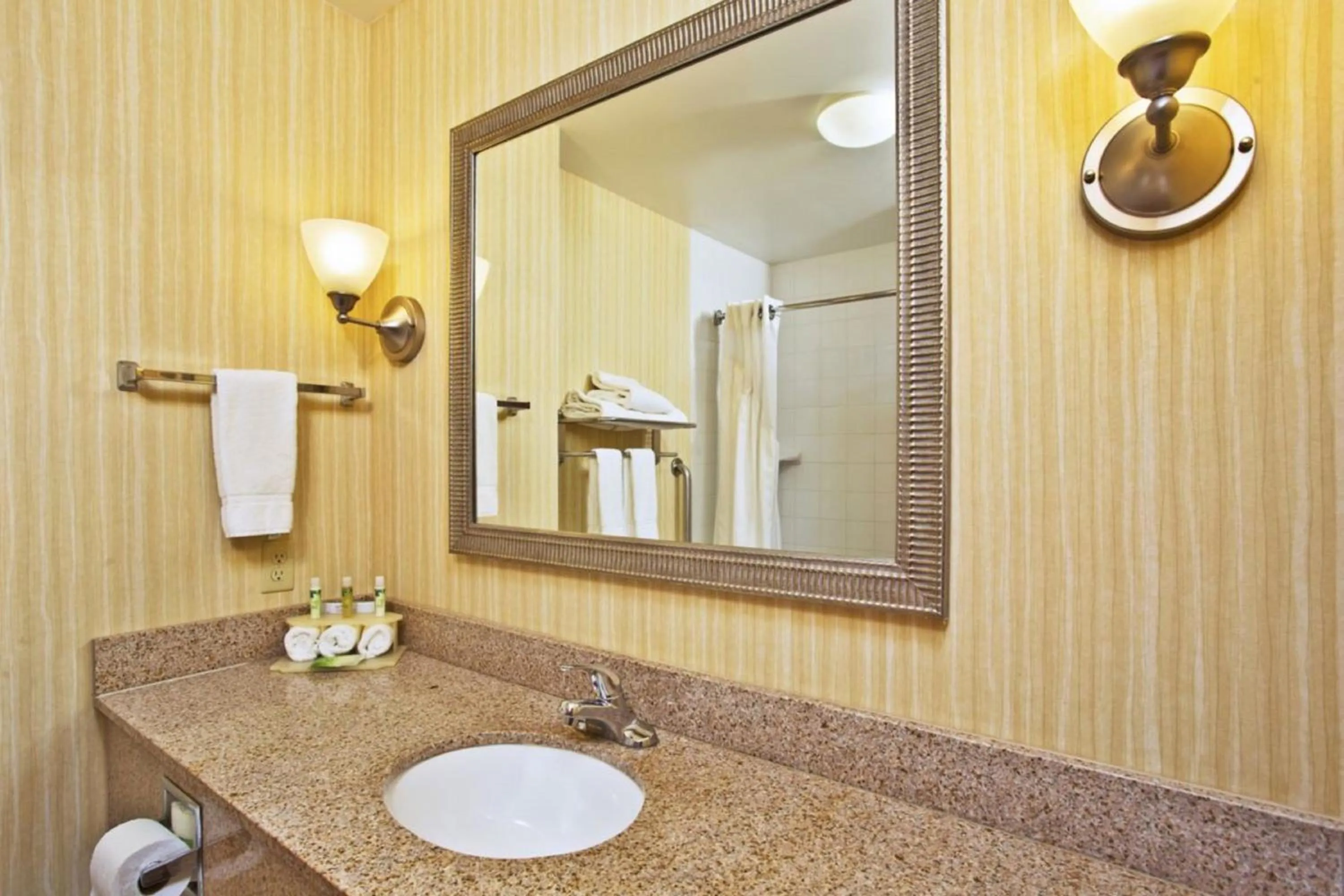 Bathroom in Holiday Inn Express Hotel & Suites Howell by IHG