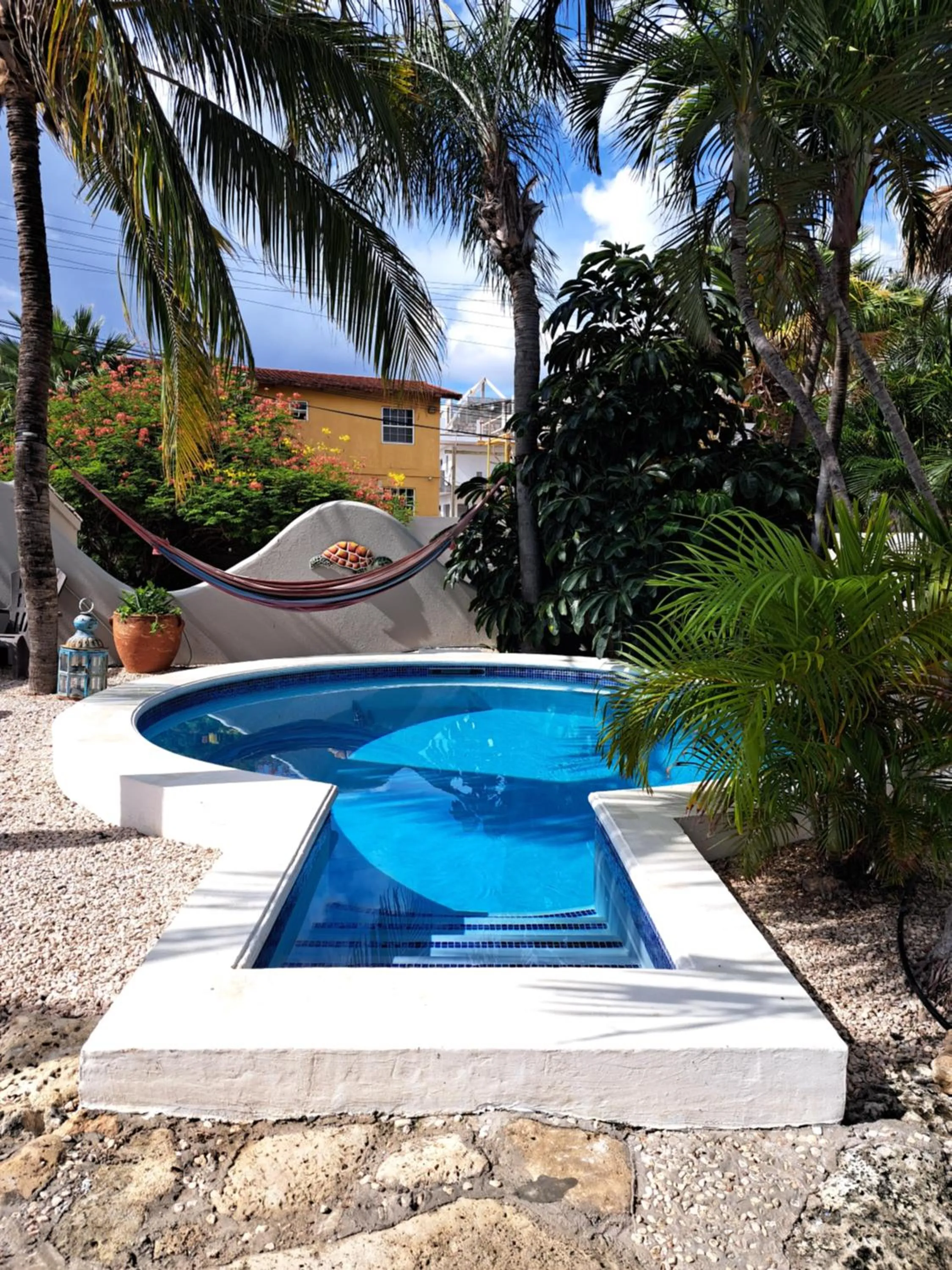 Garden in BnBBonaire near the ocean