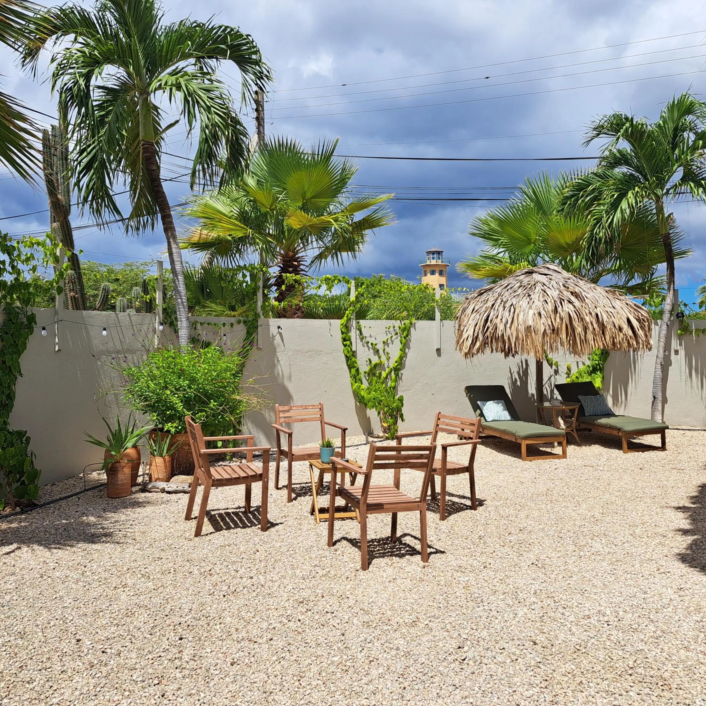 Garden in BnBBonaire near the ocean