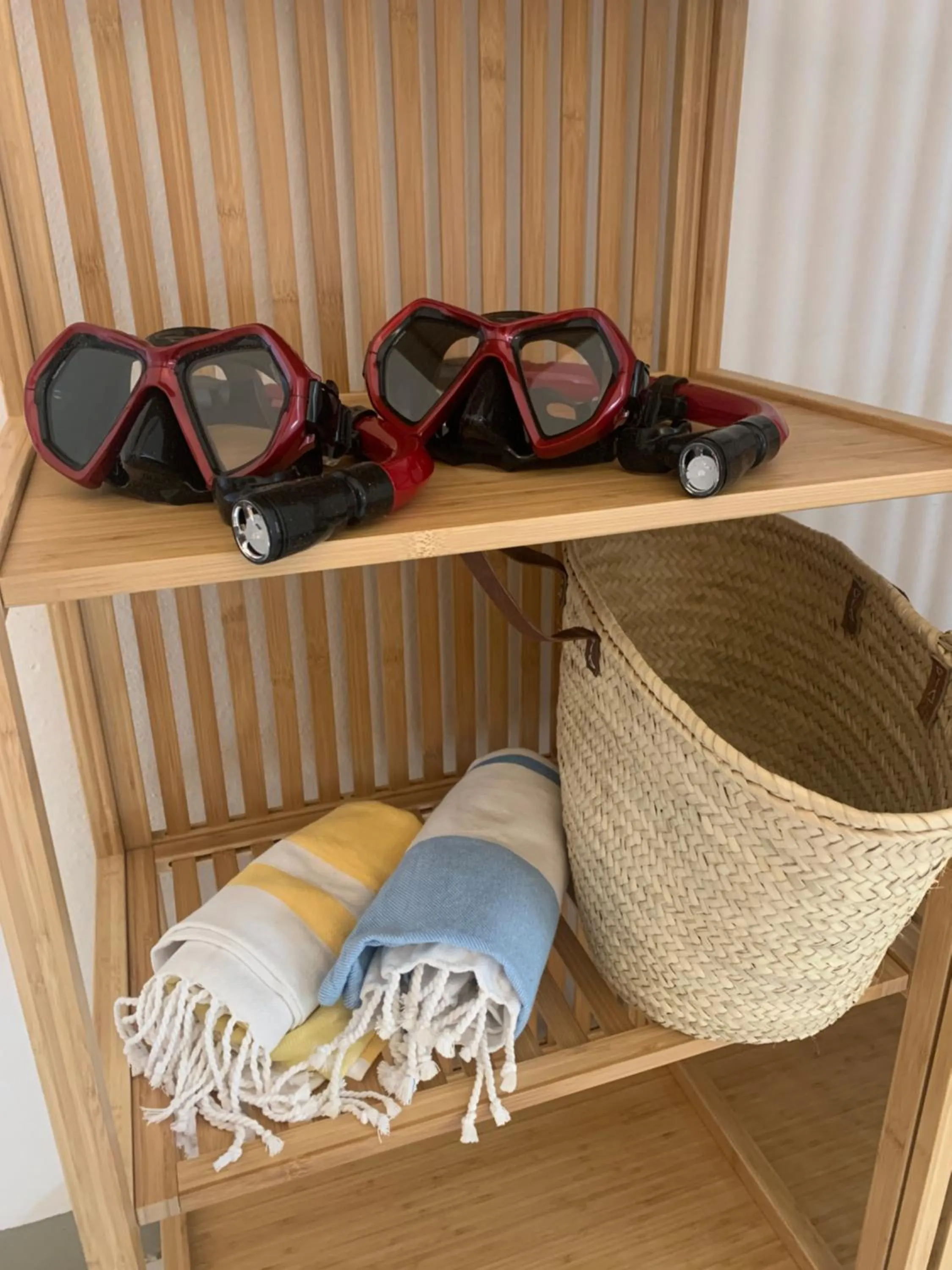 Snorkeling in BnBBonaire near the ocean