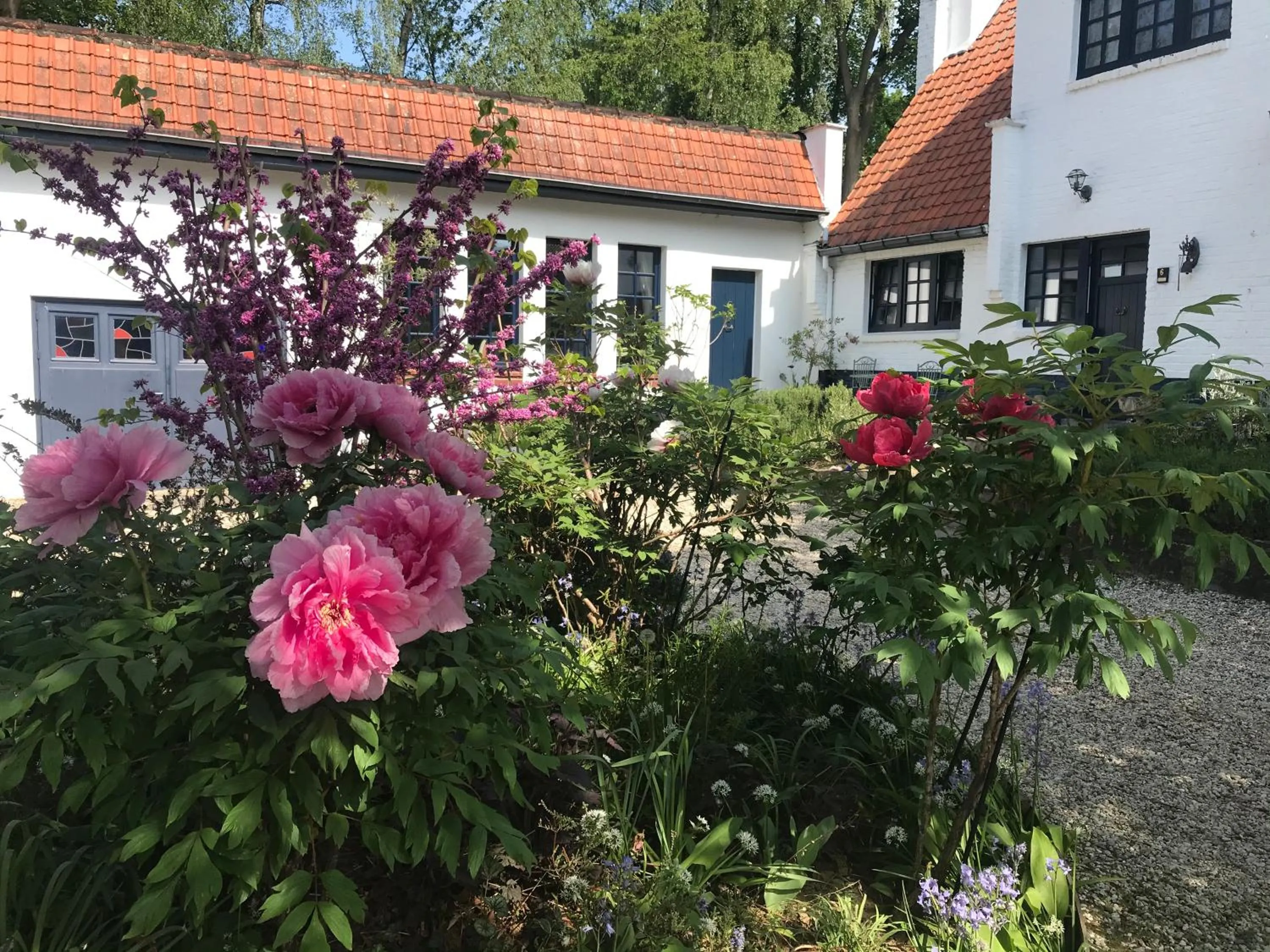 Bed and Breakfast Ros & Marc