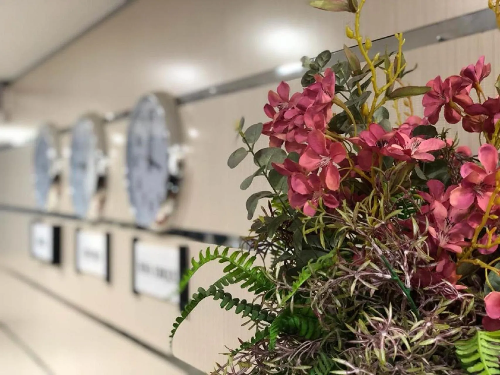 Lobby or reception in Tri Hotel Centro Chapecó