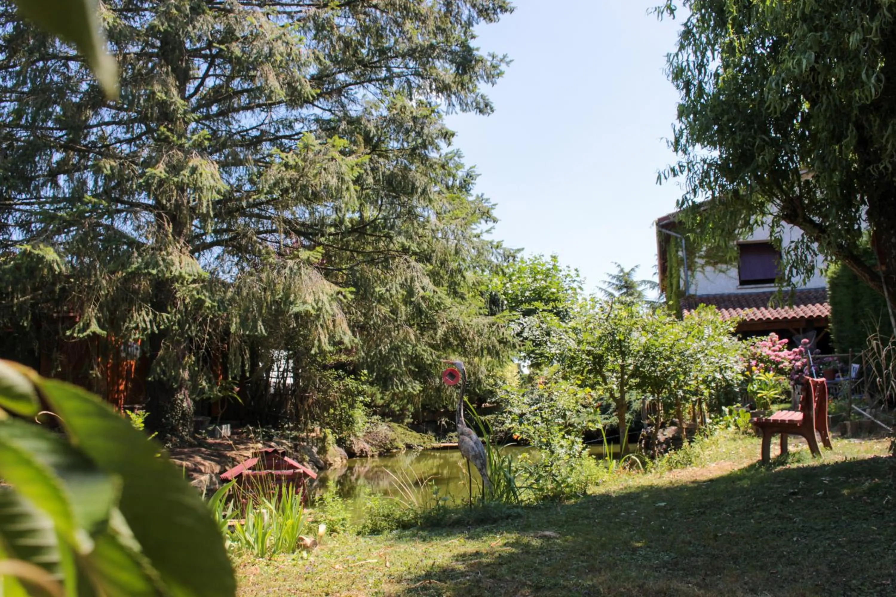 Garden in La mare aux canards