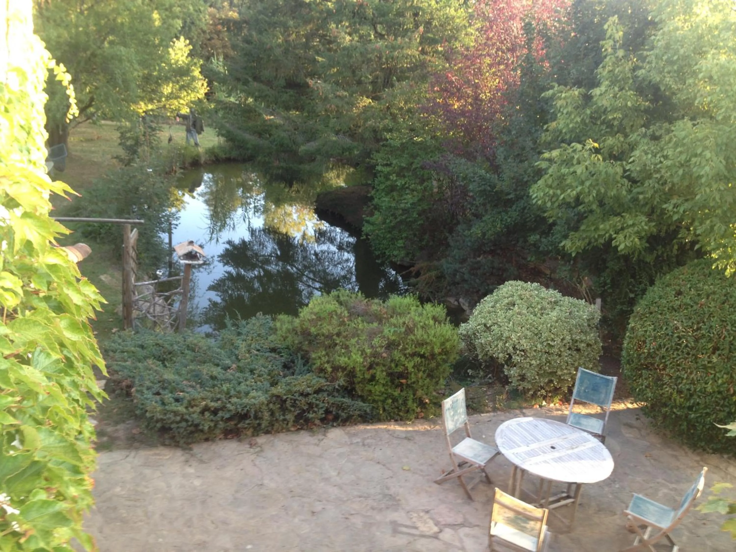 Garden view in La mare aux canards