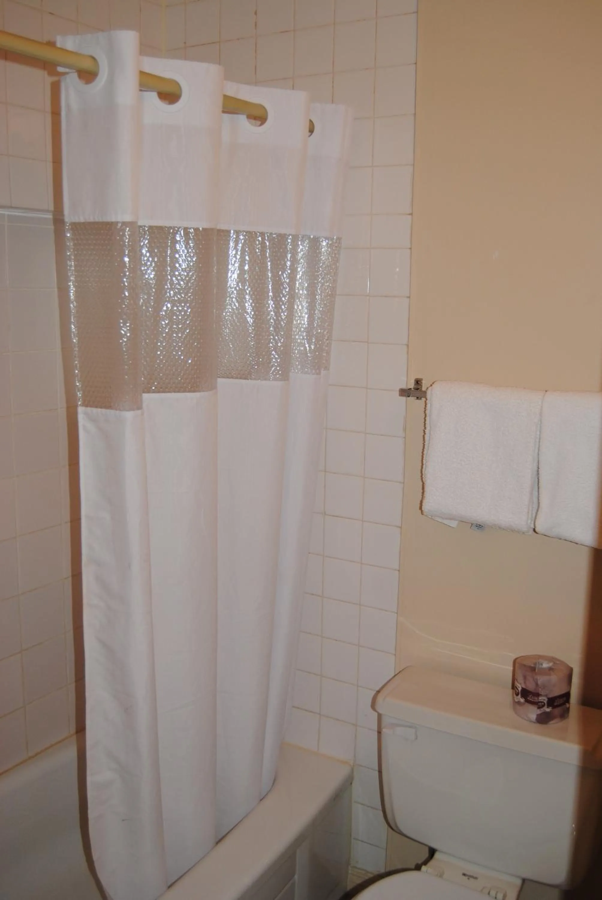 Bathroom in Economy Inn