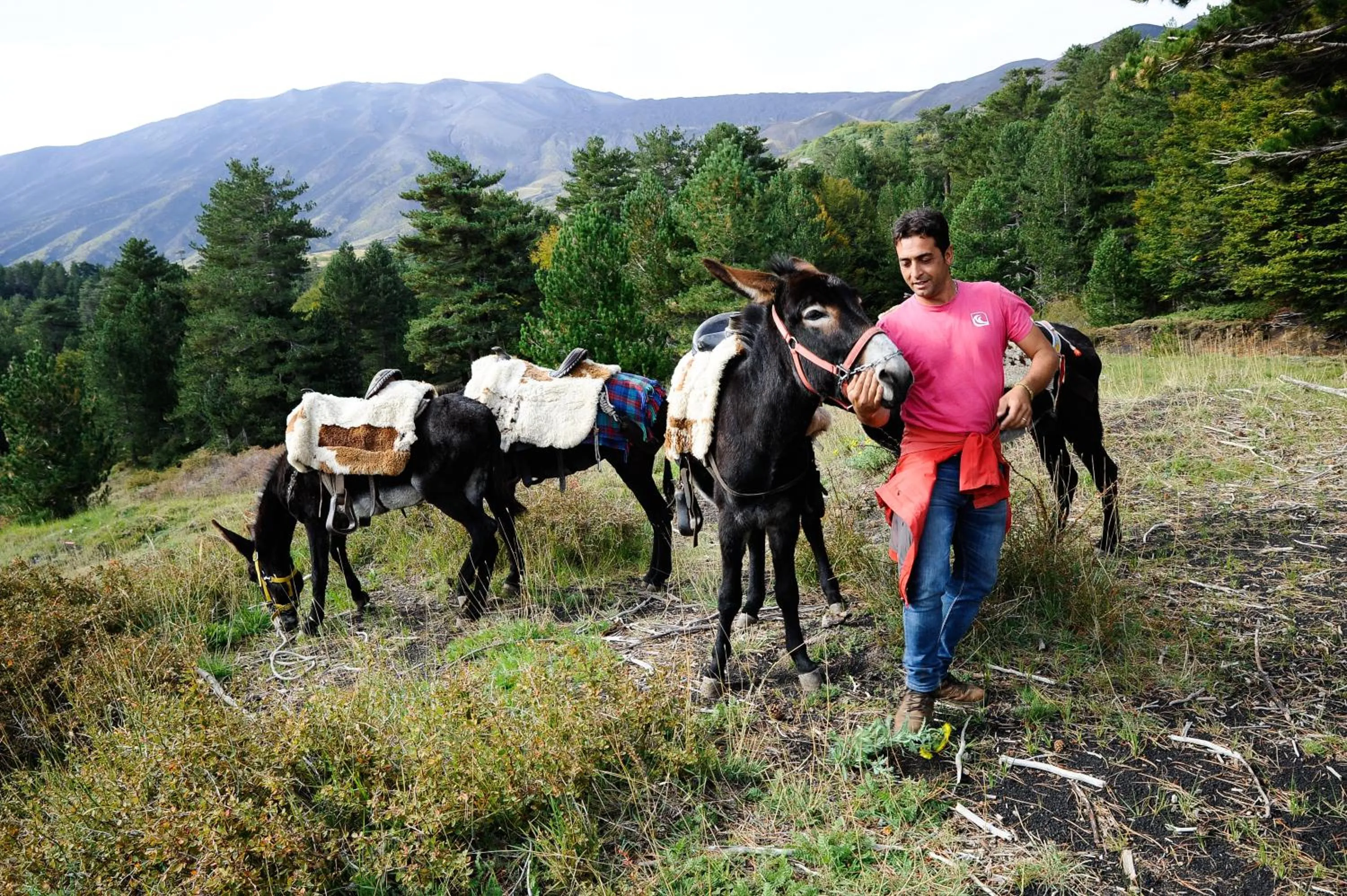 Nearby landmark in Picciolo Etna Golf Resort & Spa, Curio Collection by Hilton