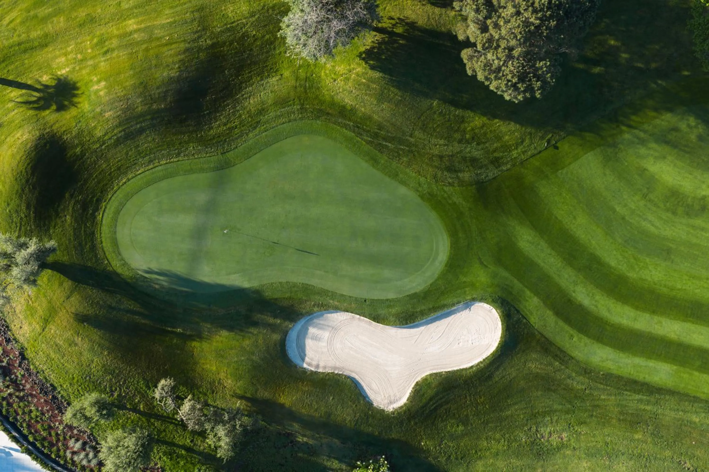 Golfcourse in Picciolo Etna Golf Resort & Spa, Curio Collection by Hilton