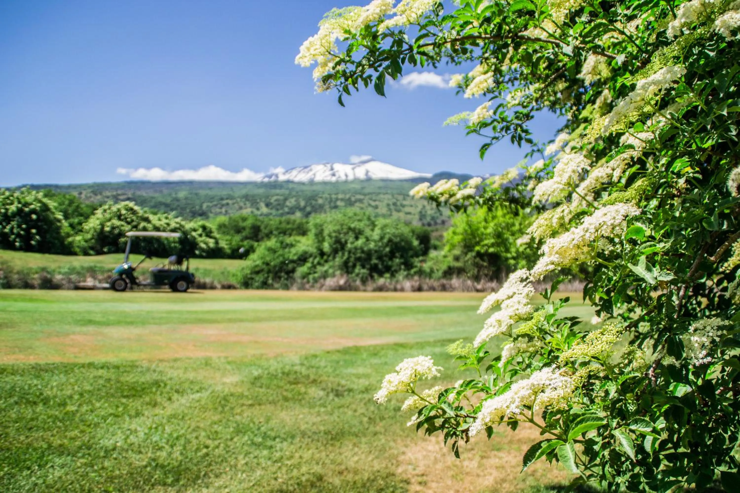 Golfcourse in Picciolo Etna Golf Resort & Spa, Curio Collection by Hilton