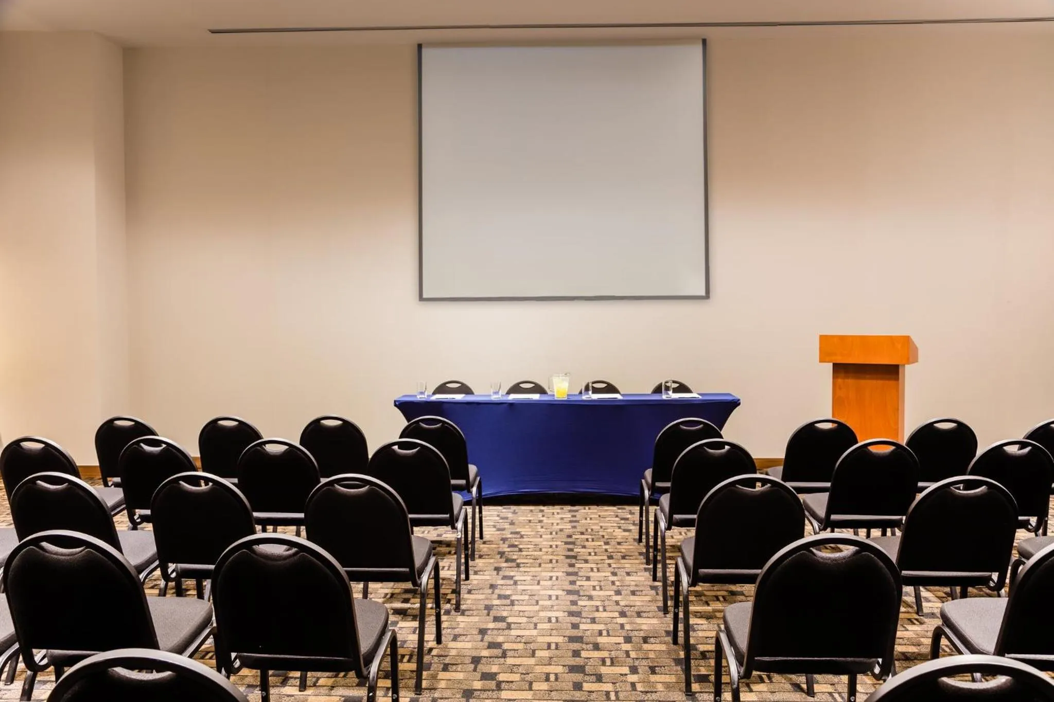 Meeting/conference room in Fiesta Inn Pachuca Gran Patio