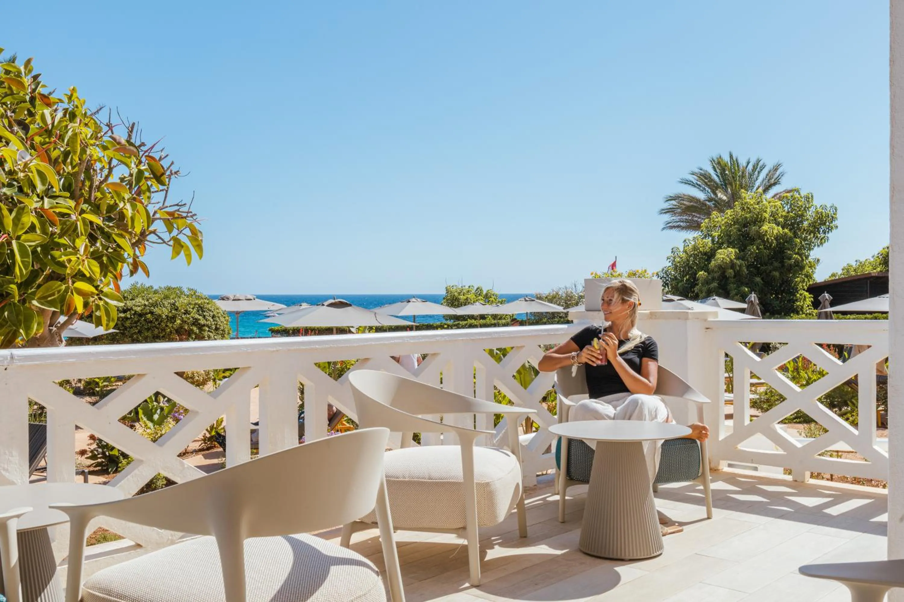 Lounge or bar in Seth Santo Tomás