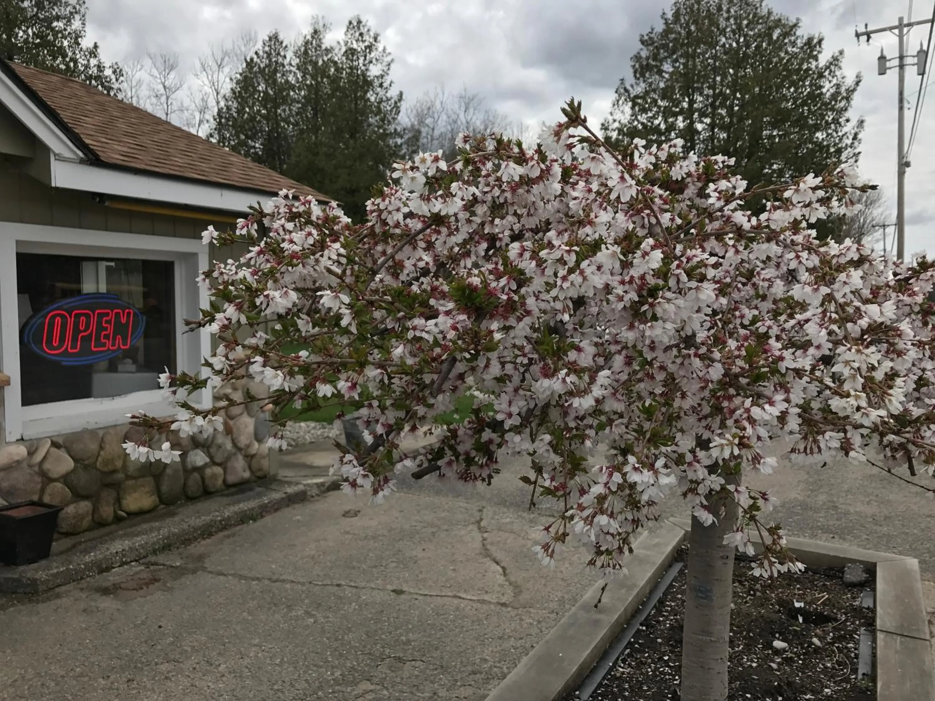 Lobby or reception in Cedar Ridge Cabins