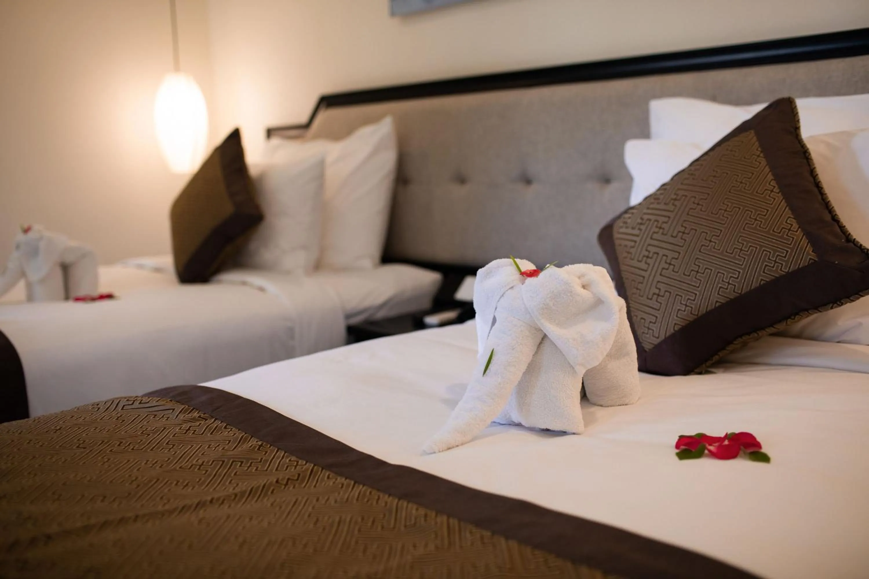 Bed in Silkotel Hoi An