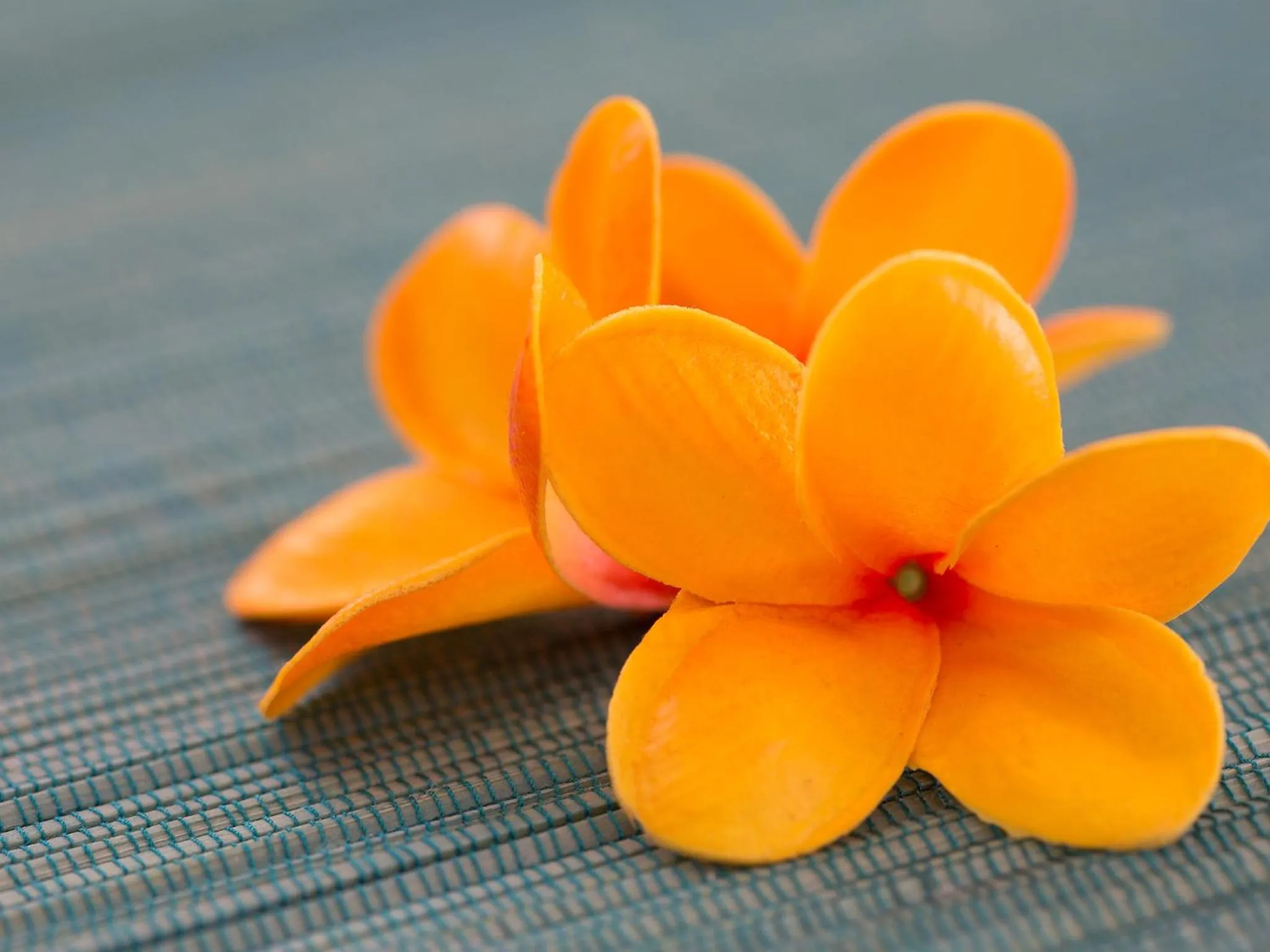 Other in Garden Palace Downtown Koror