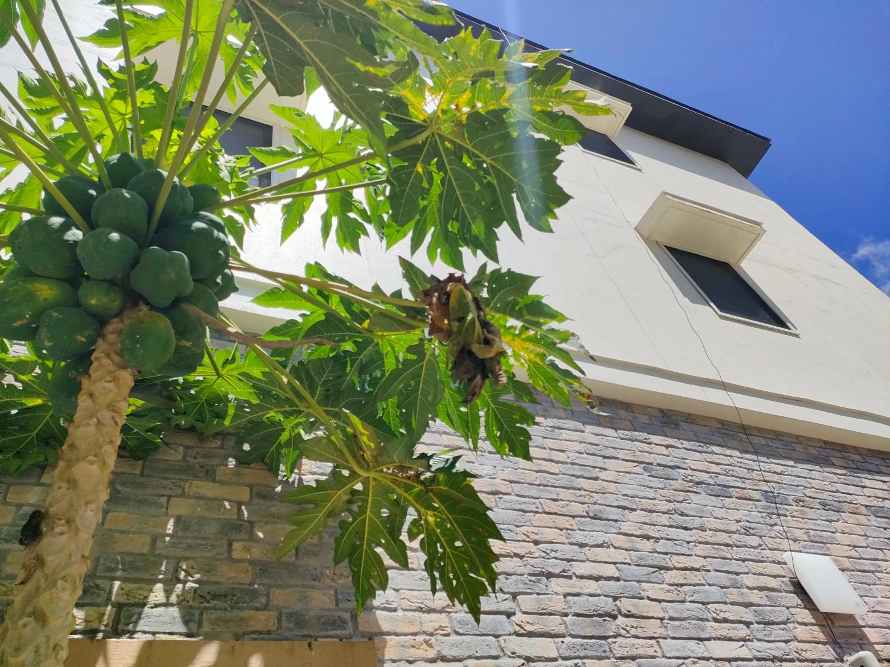 Property building in Garden Palace Downtown Koror