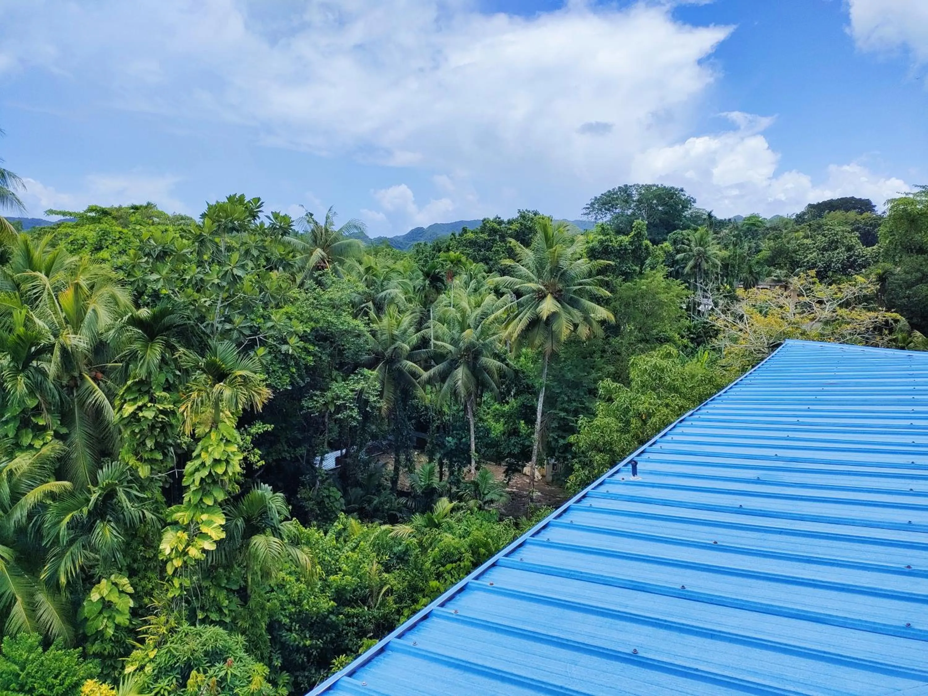 Natural landscape in Garden Palace Downtown Koror