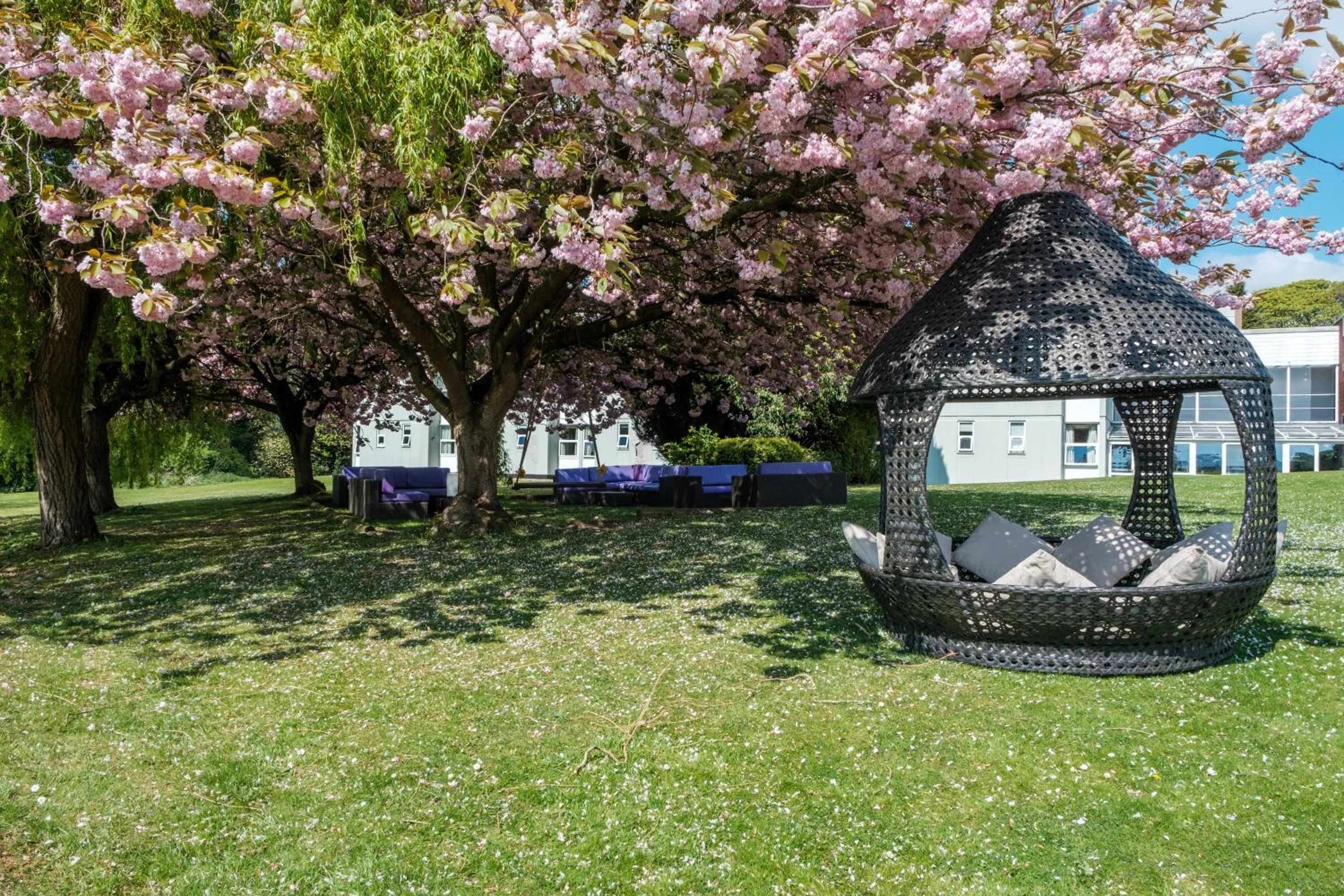 Garden in Hull Humber View Hotel, BW Signature Collection