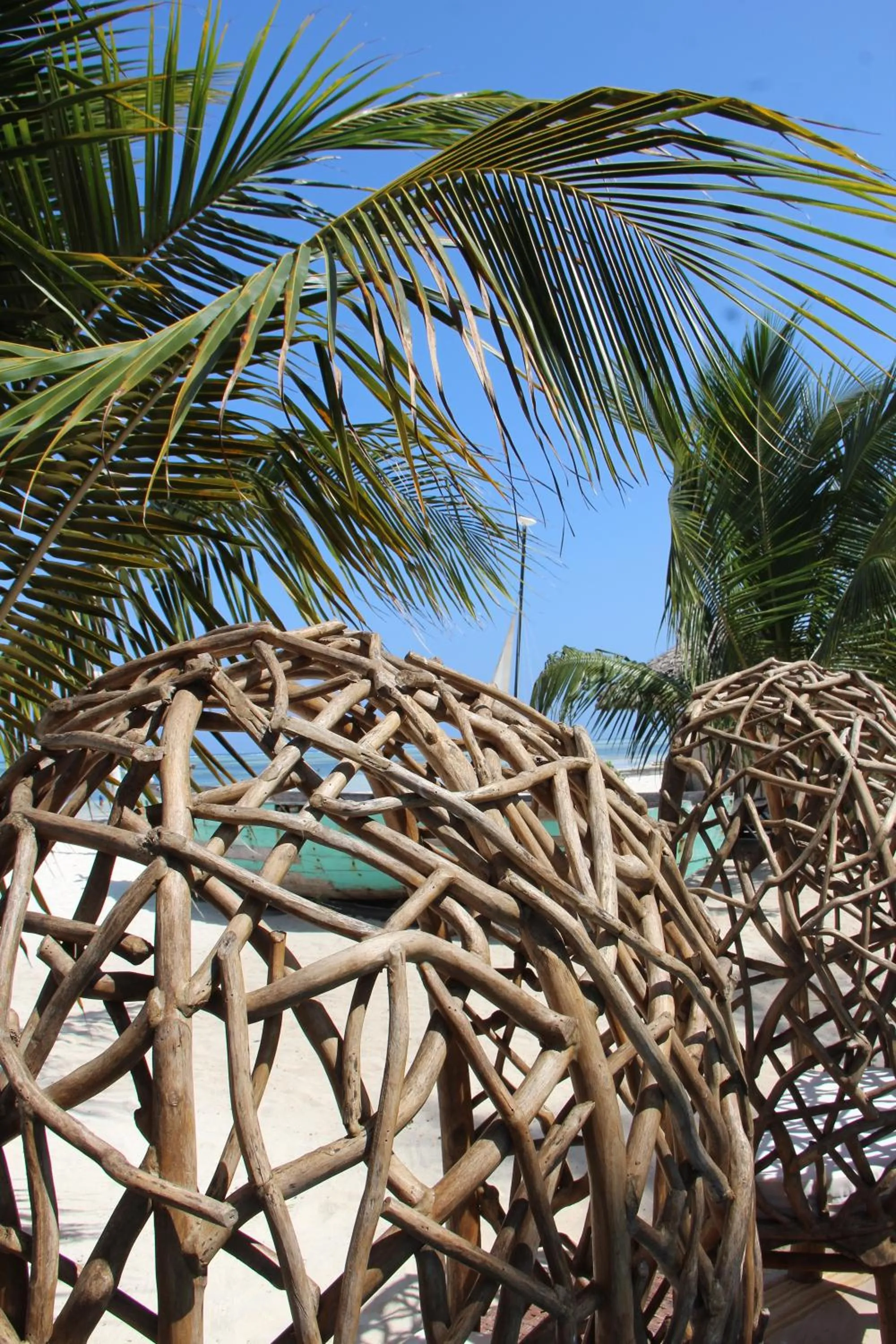 Garden view in Sofia Sea View