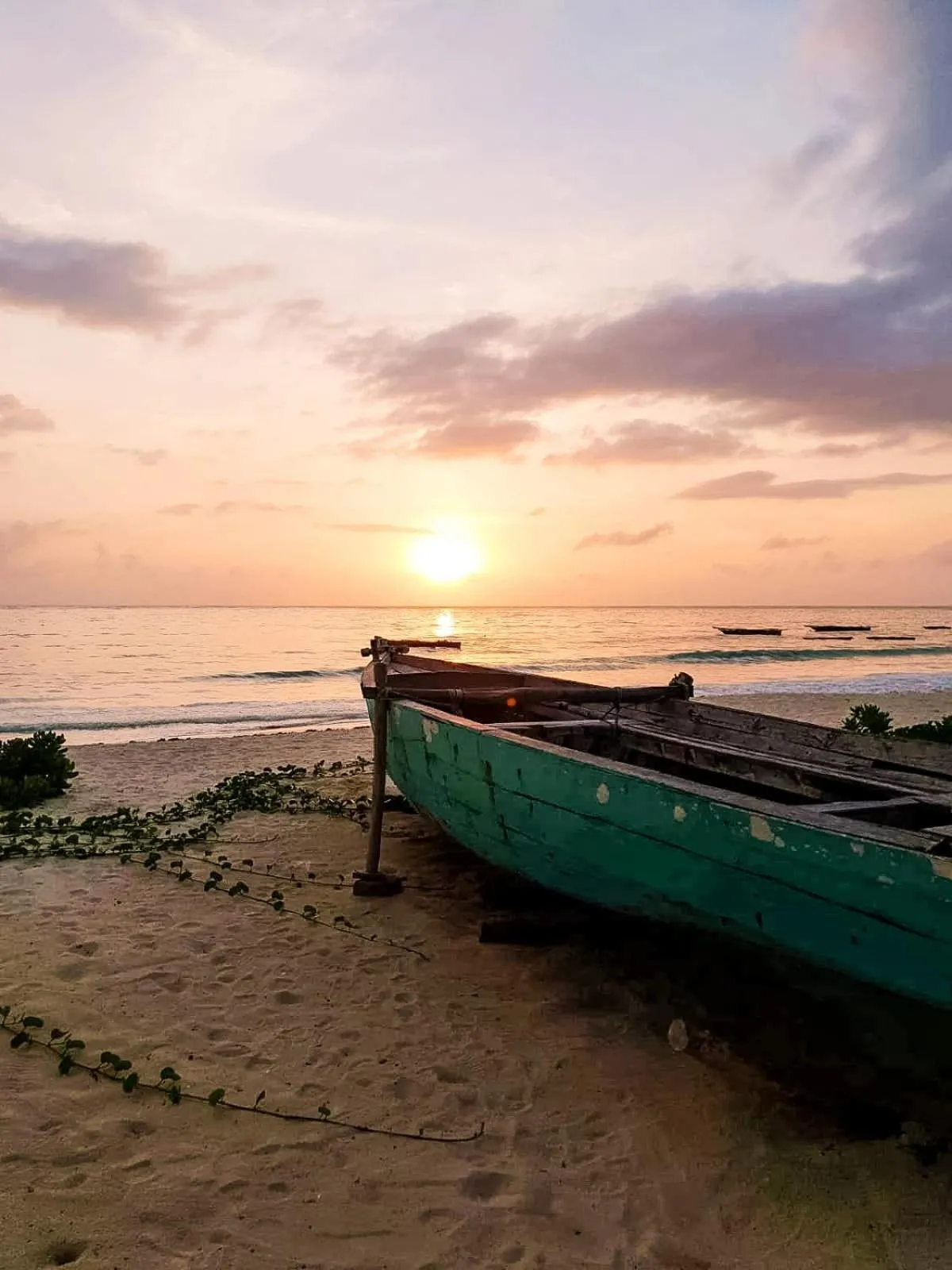 Sunset in Sofia Sea View