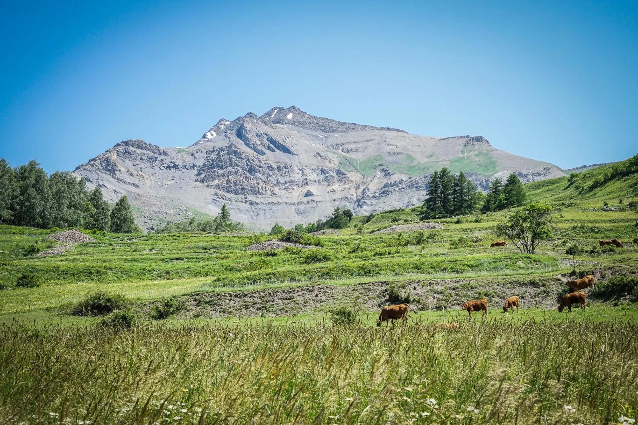 Mountain view in Hotel Le Faranchin