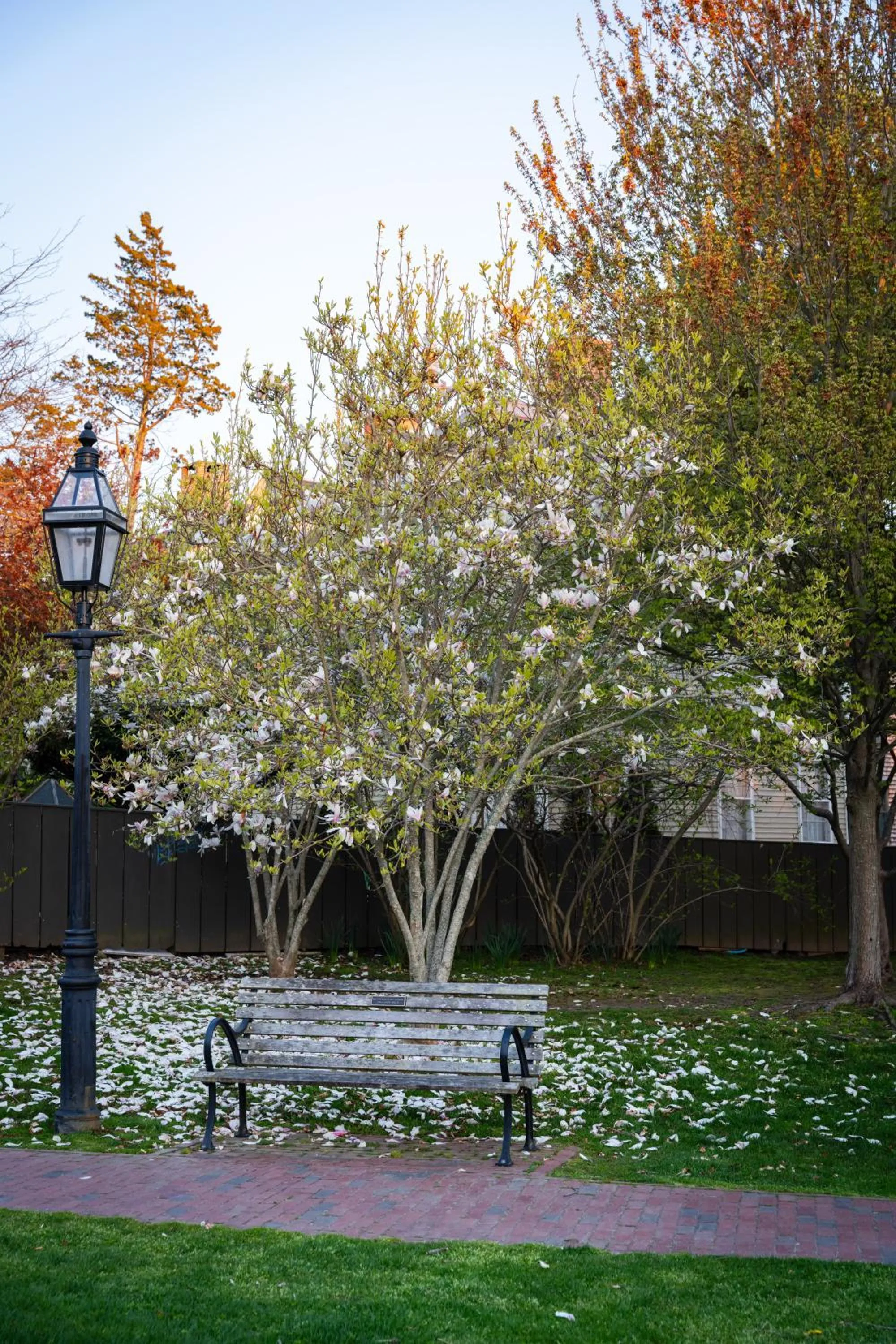 Spring in Newport Beach Hotel & Suites