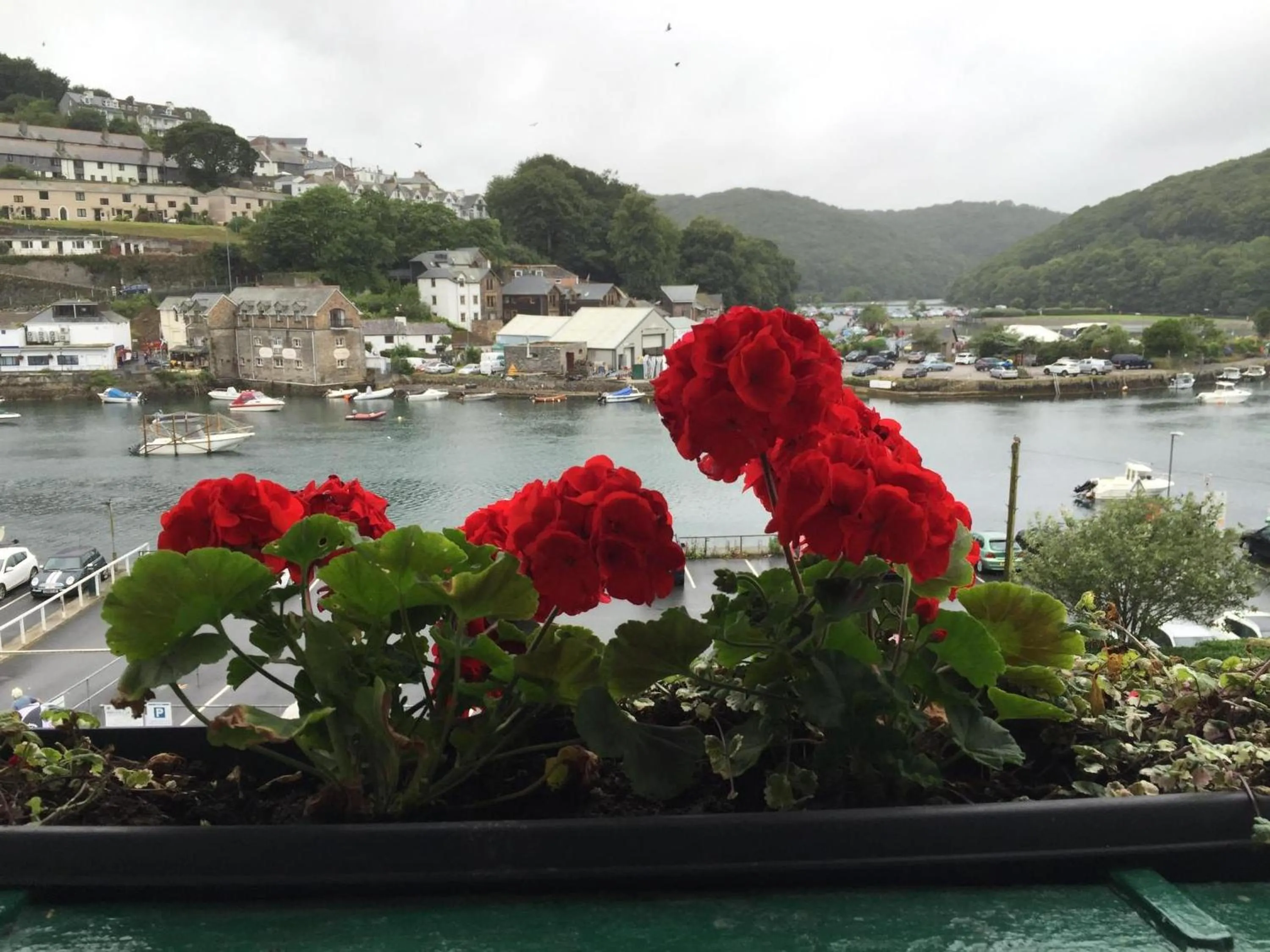 River view in Dolphin Guest House