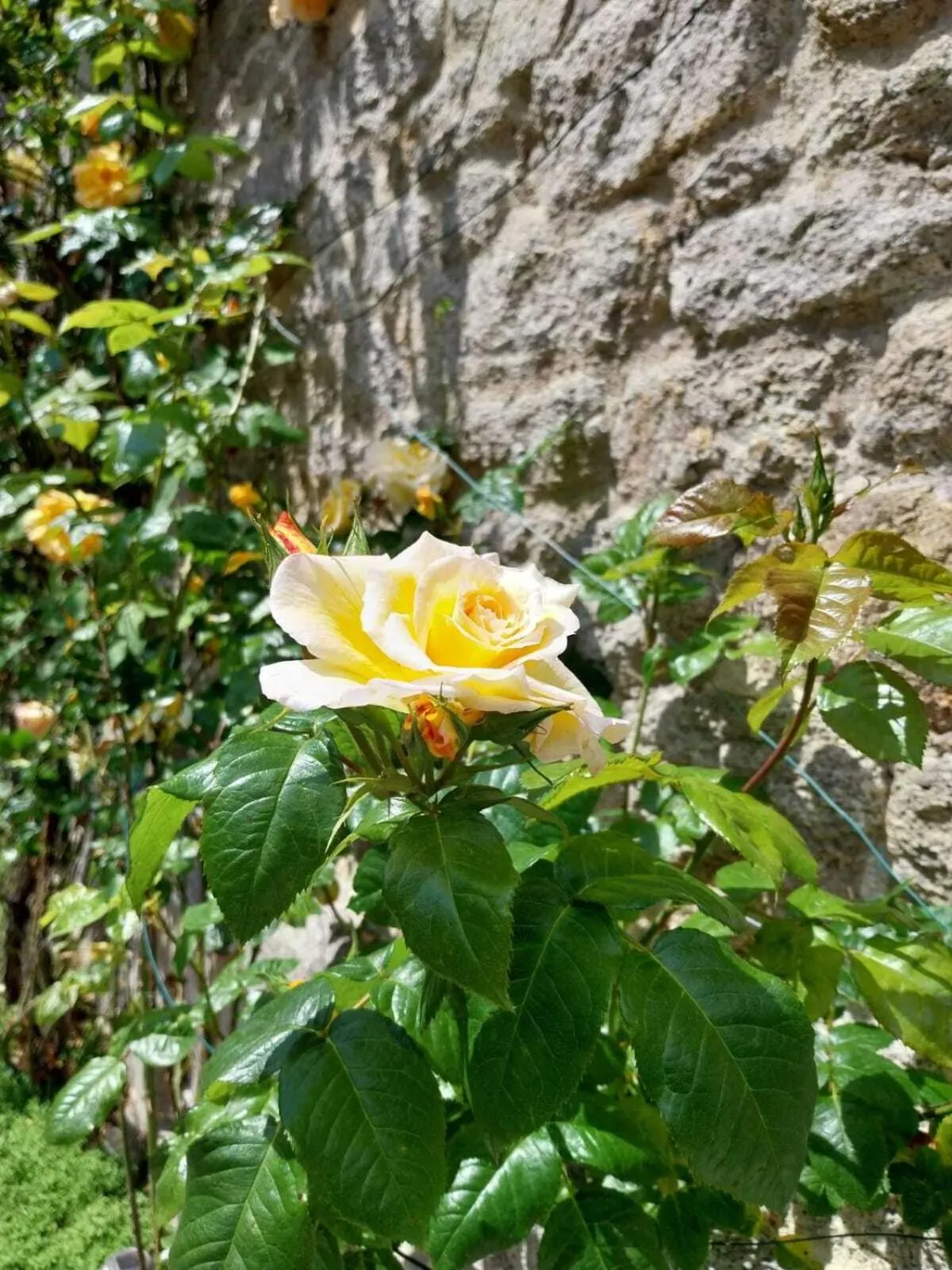 Property building in La Villa Côté Cour