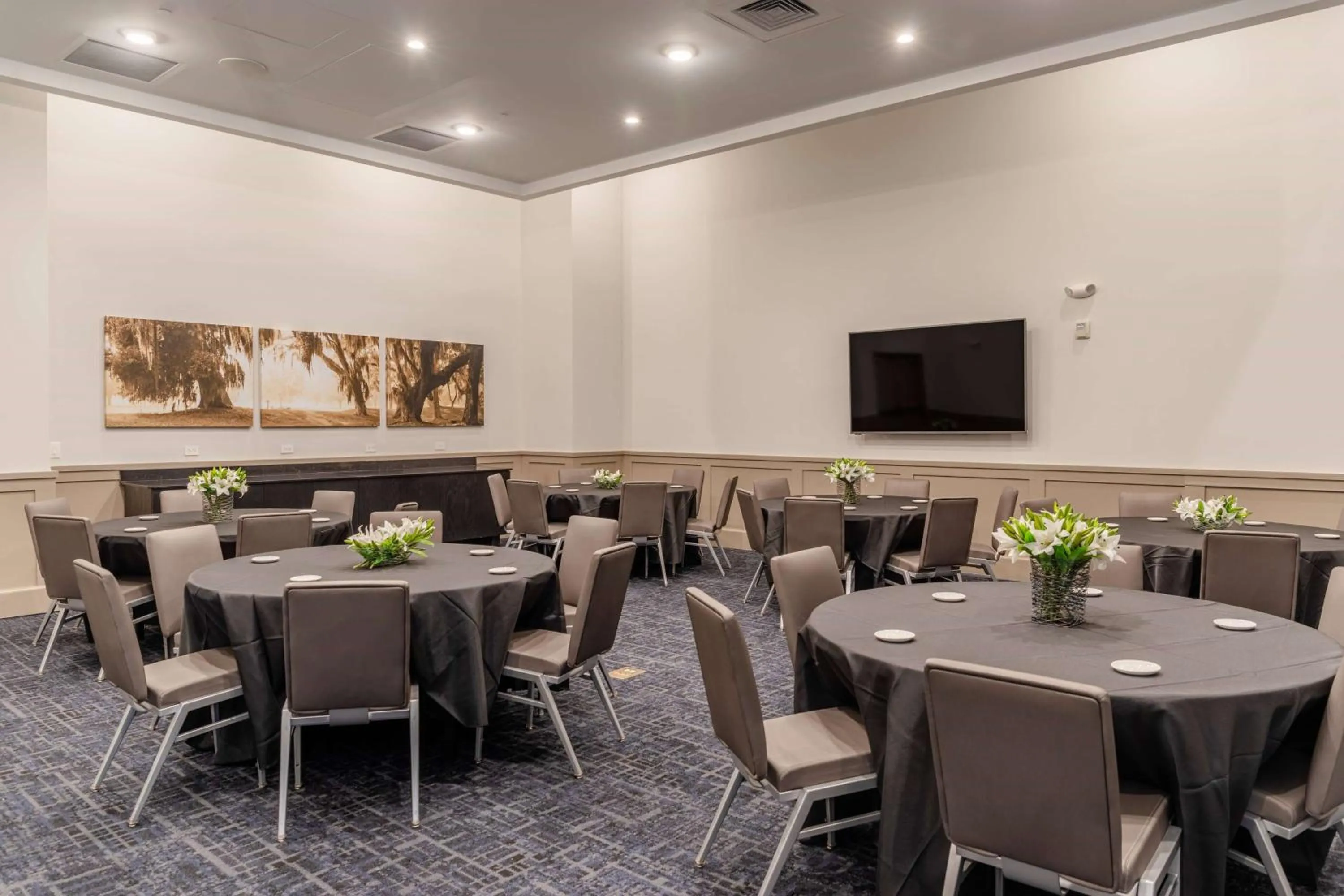 Meeting/conference room in TRYP by Wyndham Savannah