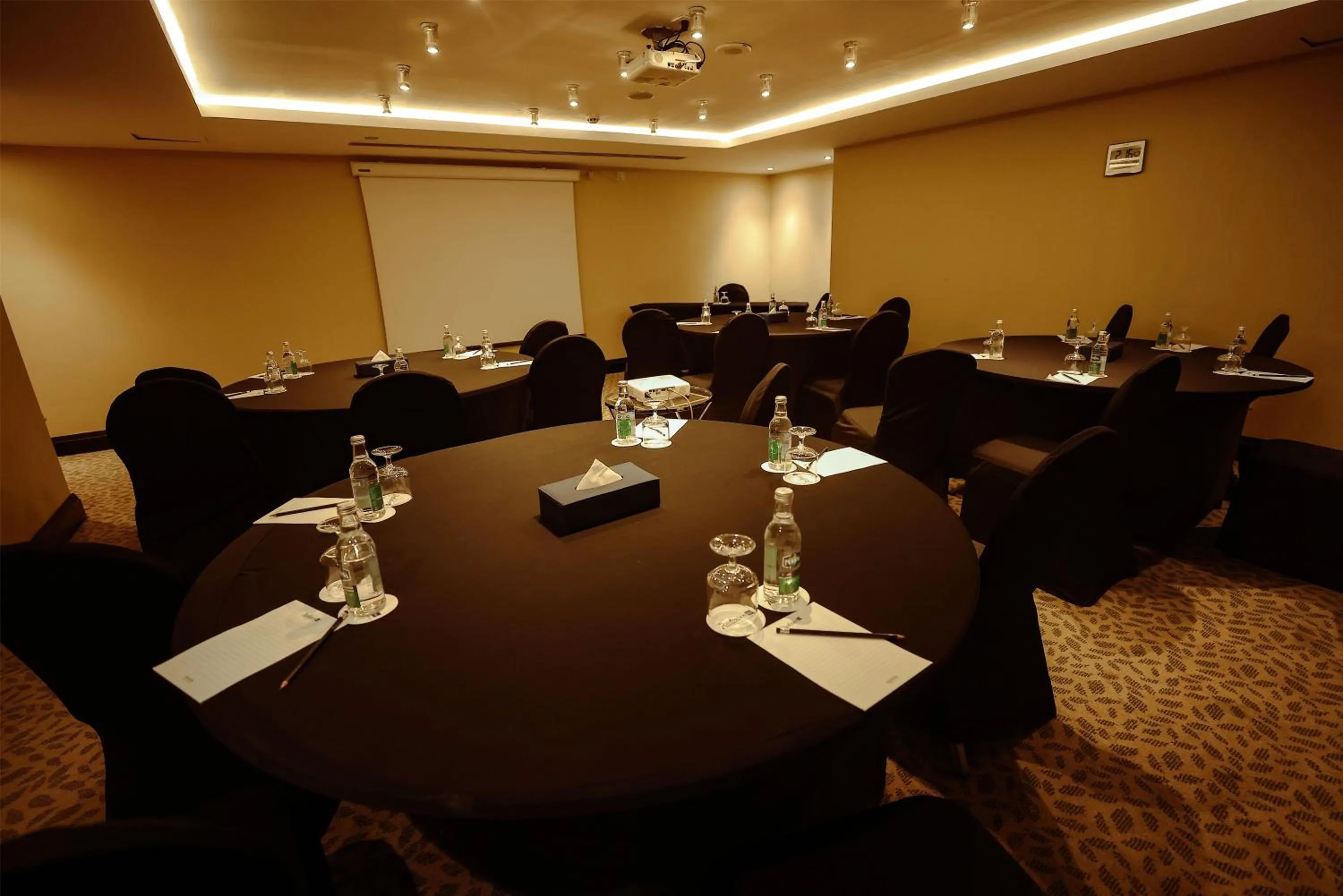 Meeting/conference room in Radisson Blu Hotel, Cairo Heliopolis