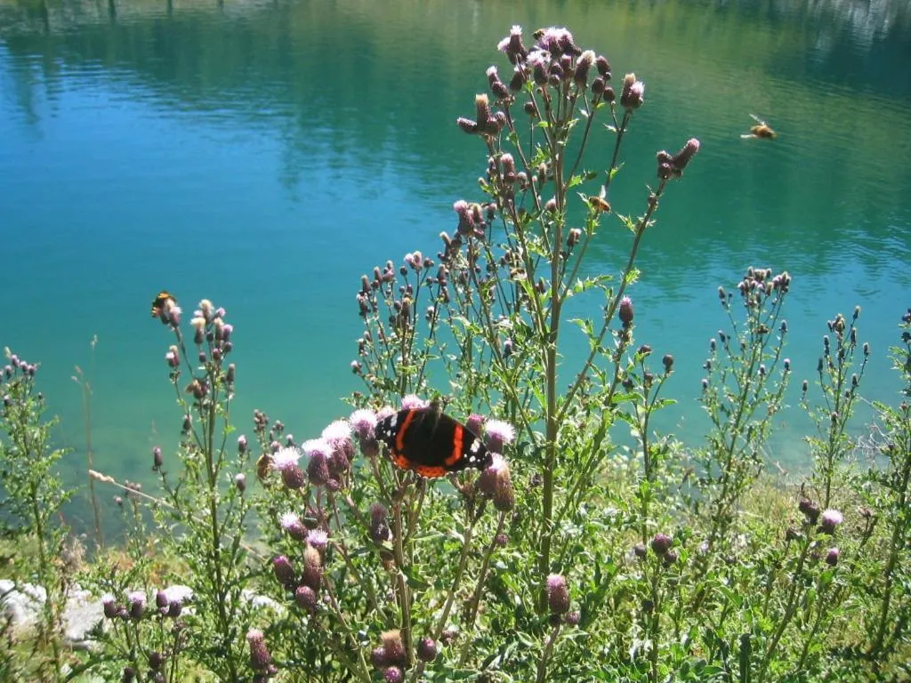 Hiking in Haus Bodenwinkler