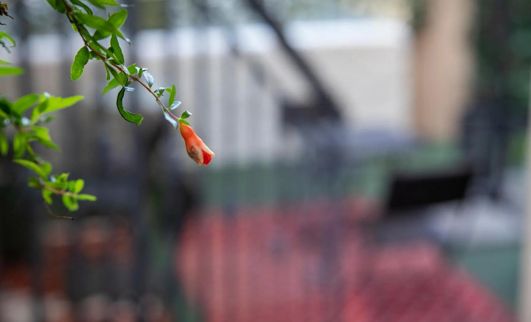 Garden in B&B I Propilei di San Girolamo