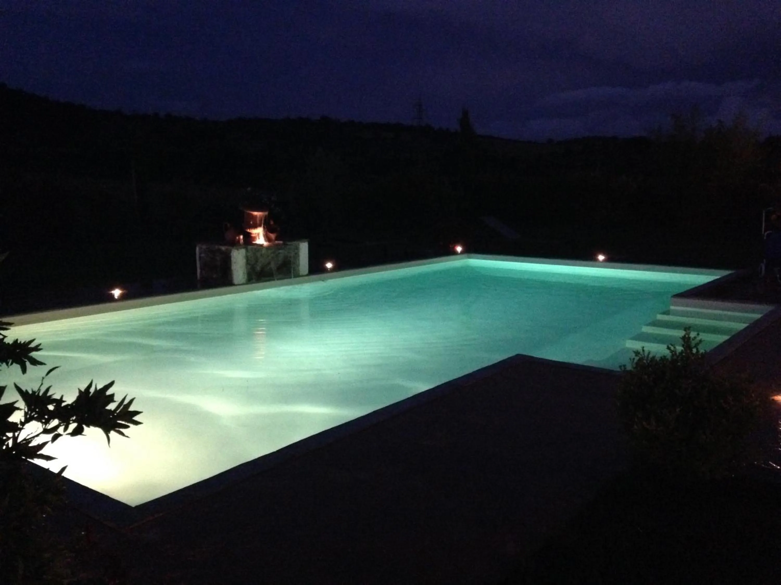 Pool view in Tonini House