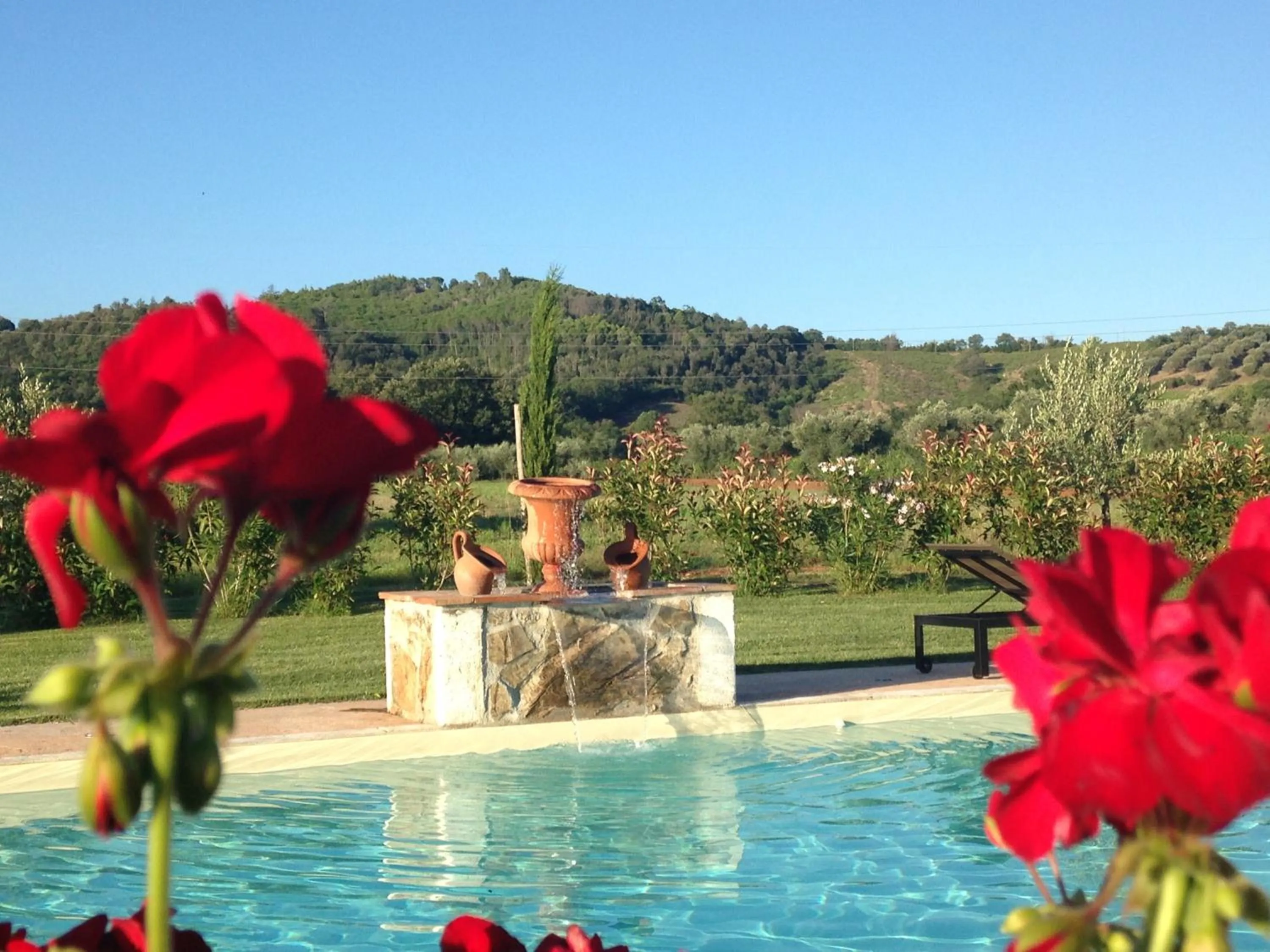 Pool view in Tonini House
