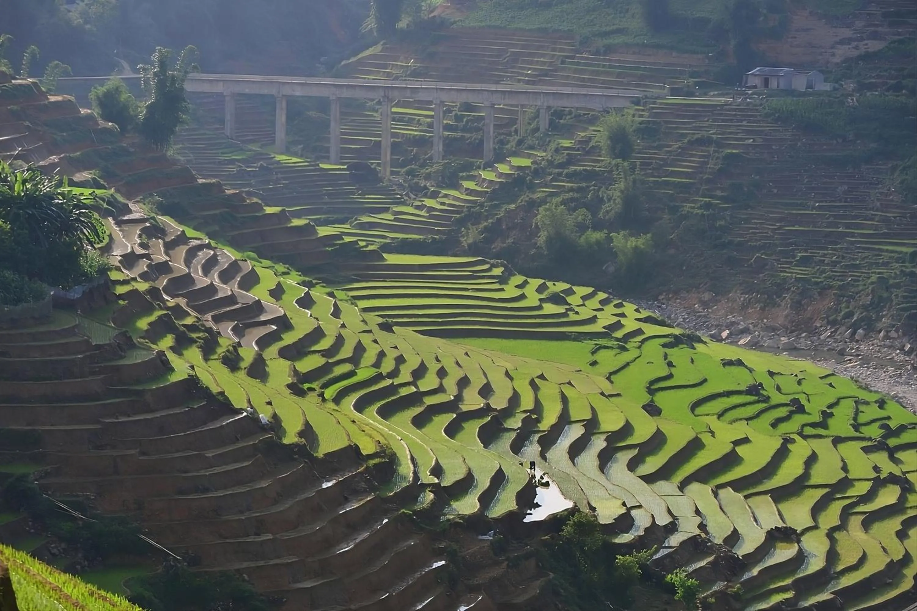 Spring in BB Sapa Resort & Spa - Formerly Victoria Sapa Resort & Spa