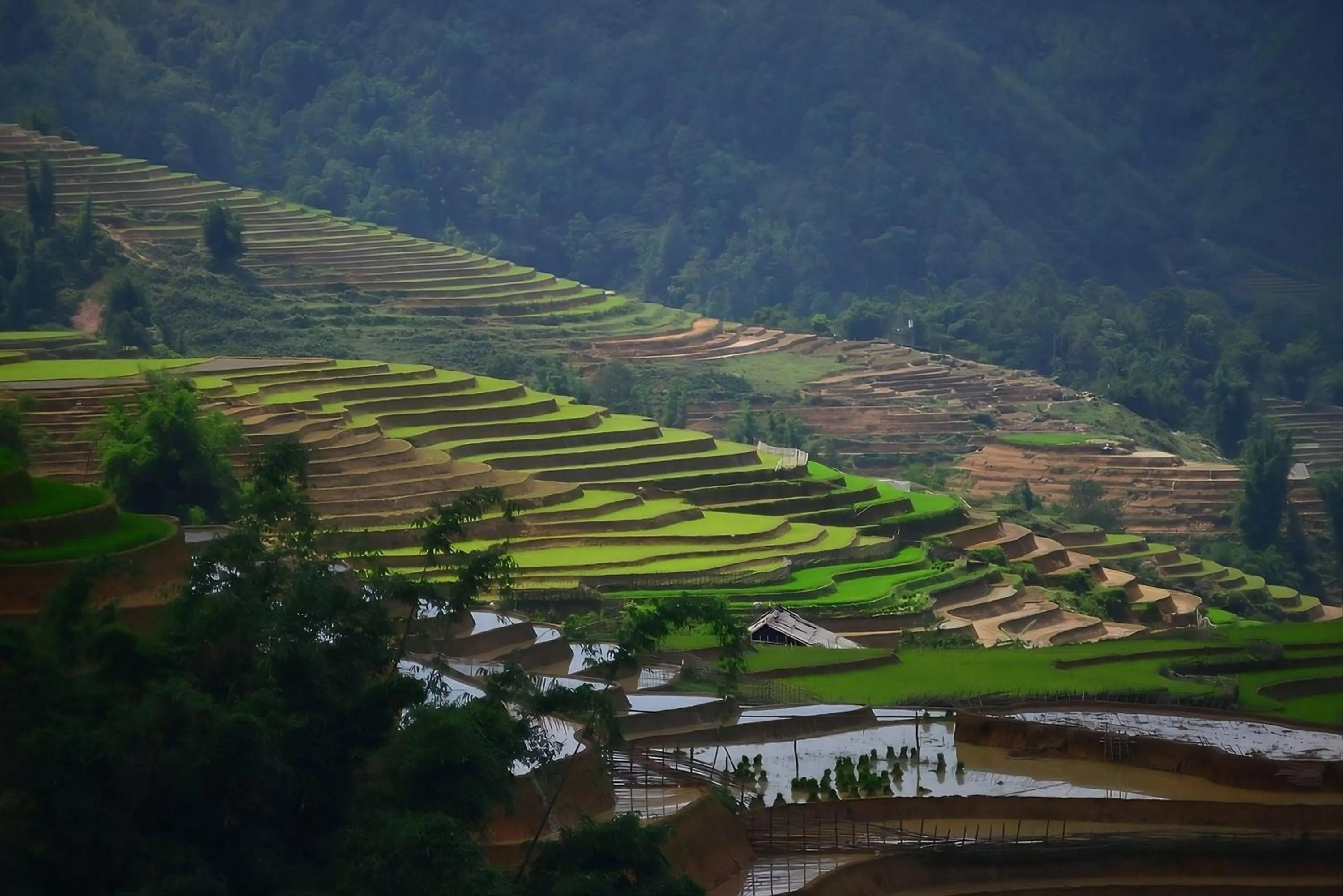 Spring in BB Sapa Resort & Spa - Formerly Victoria Sapa Resort & Spa