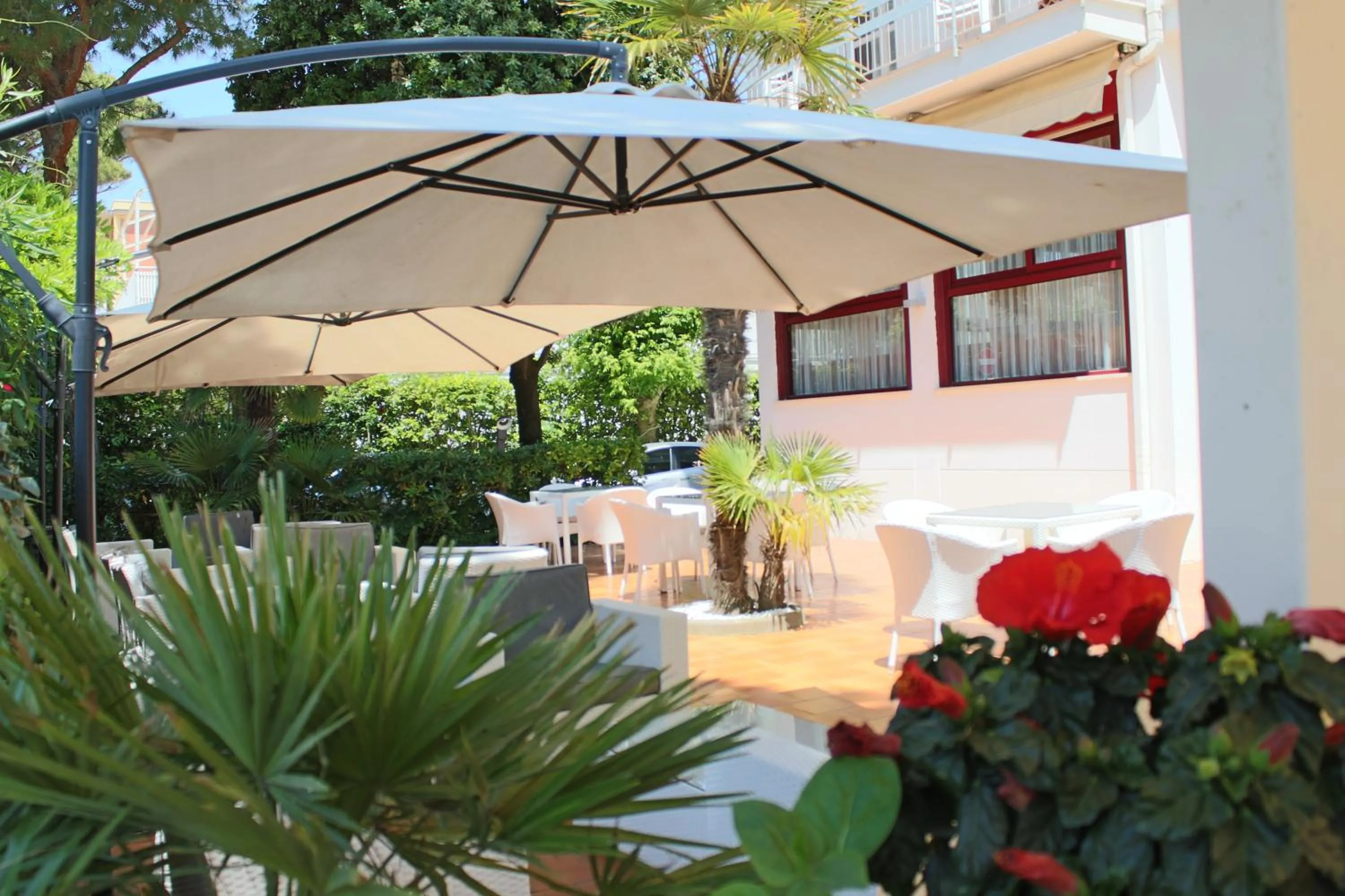 Garden in Hotel Manuela