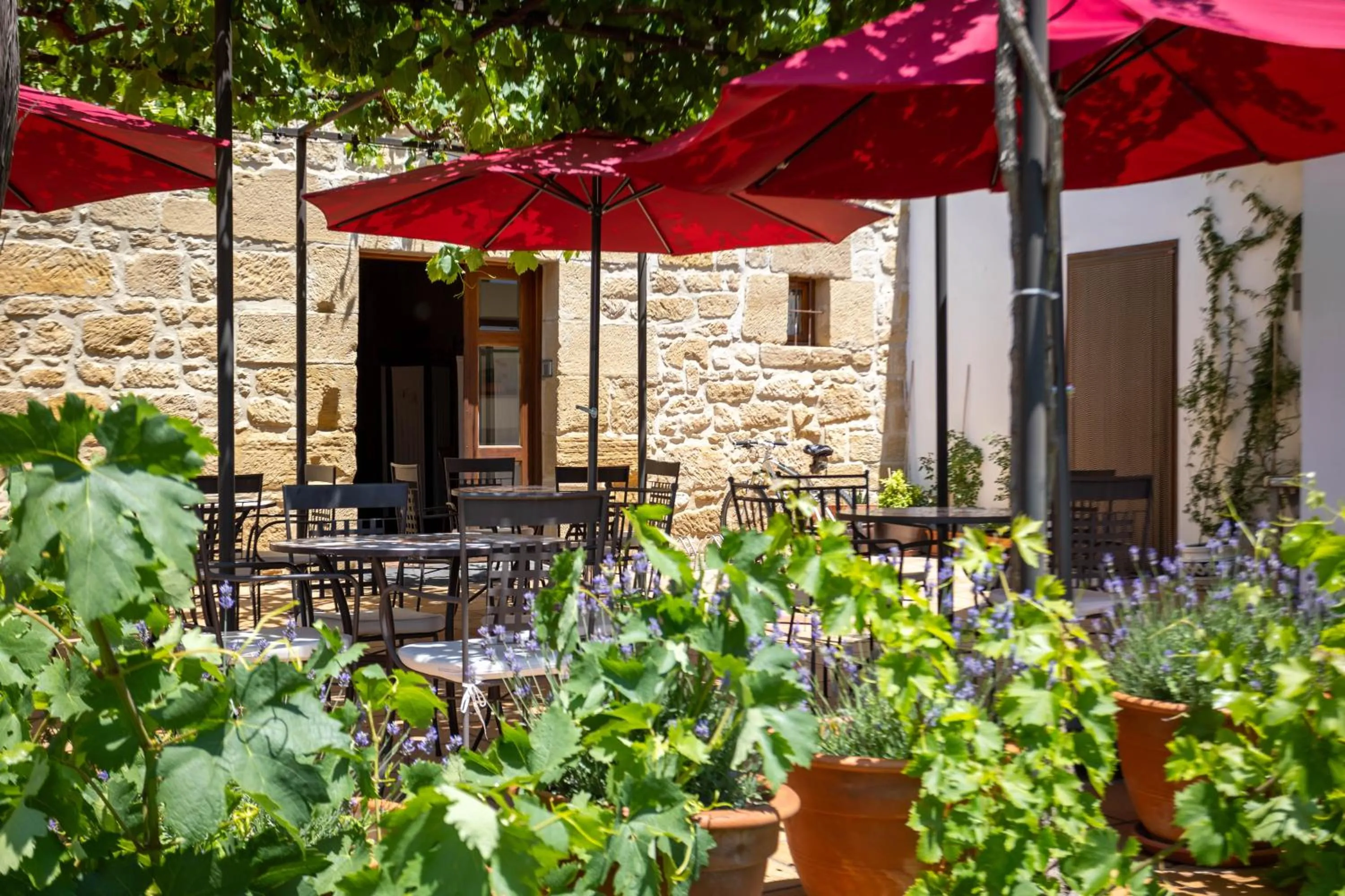 Patio in Hotel Villa de Ábalos