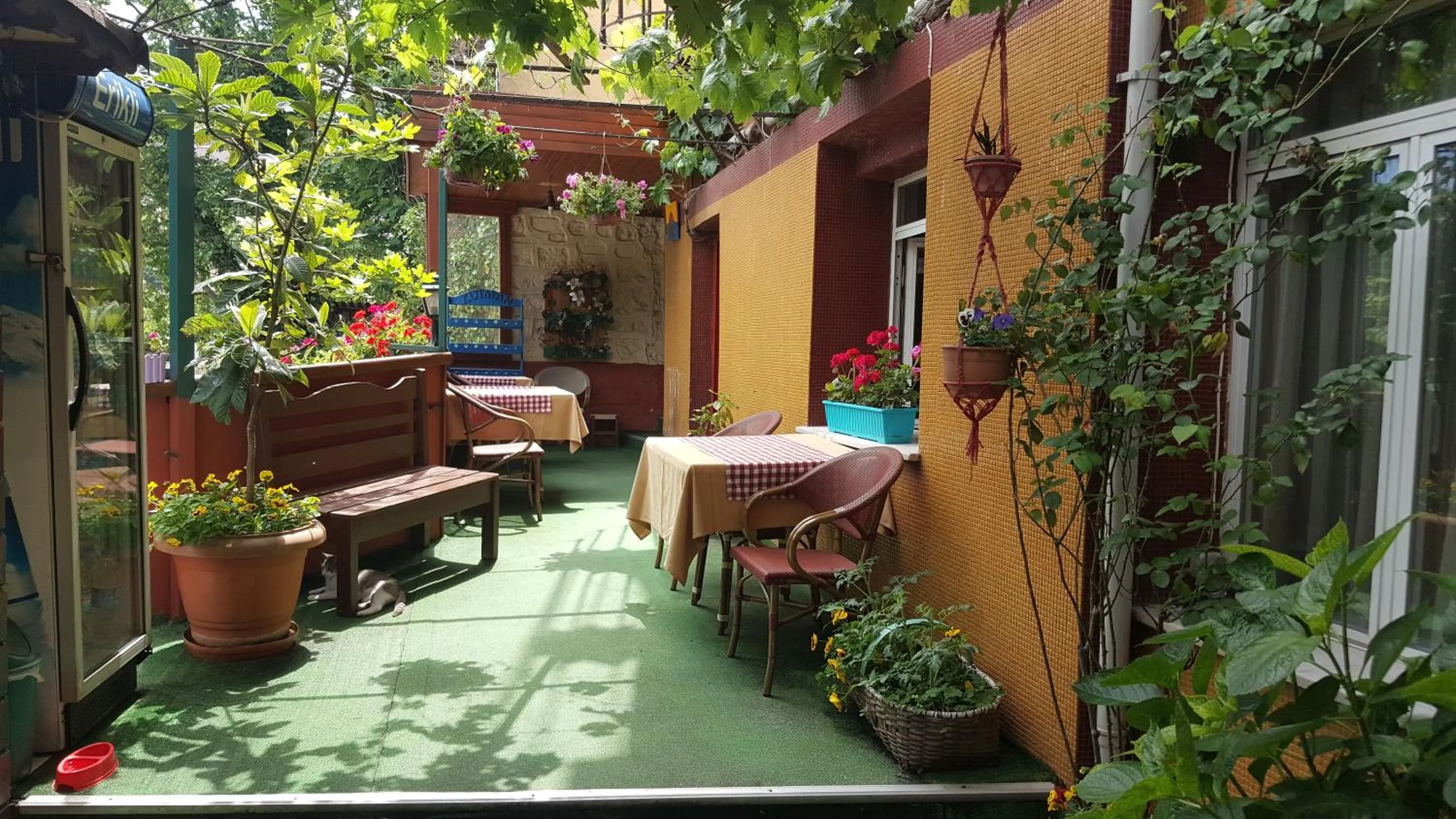 Patio in Anadolu Hotel