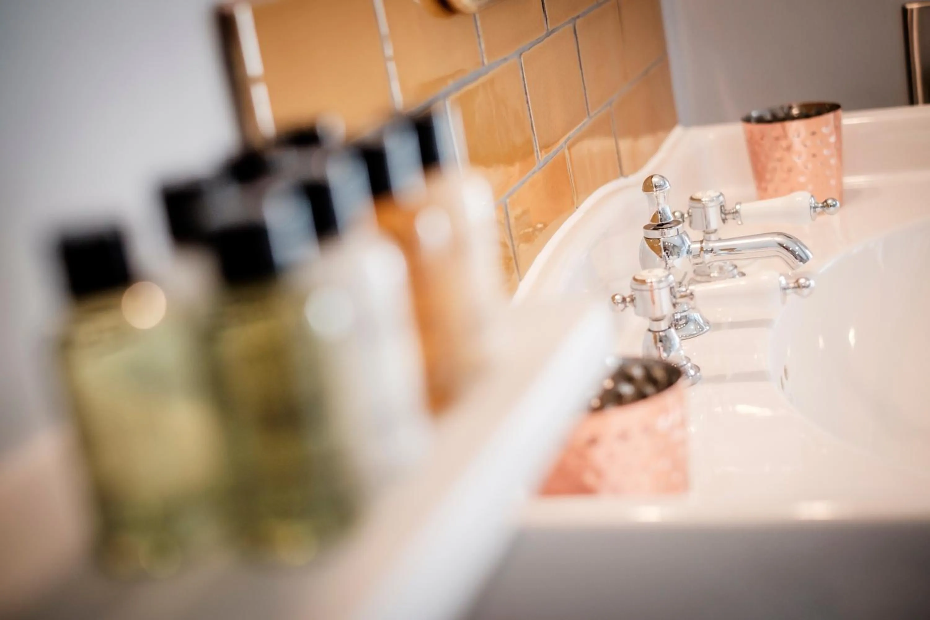 Bathroom in The Queen's Head