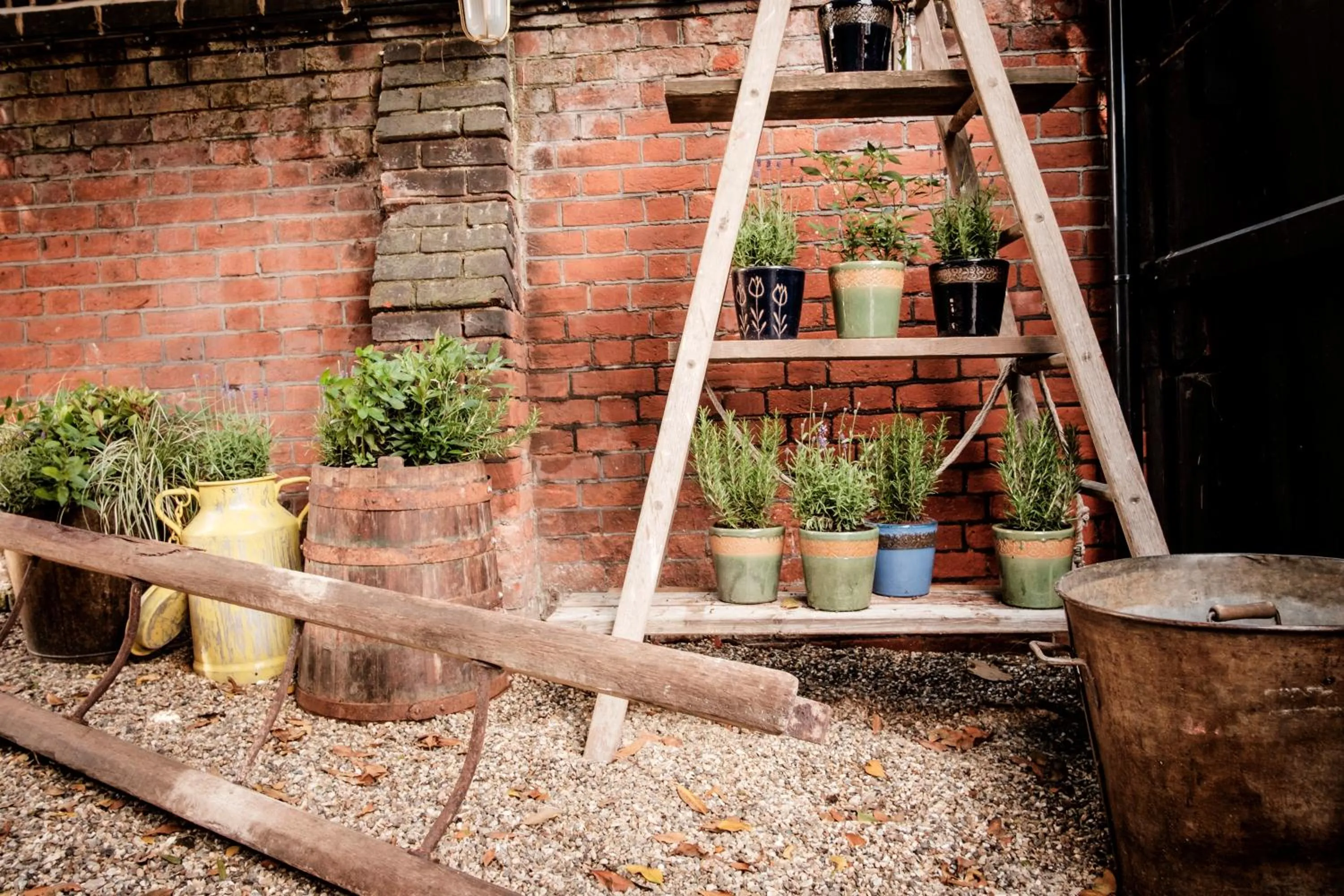 Garden in The Queen's Head