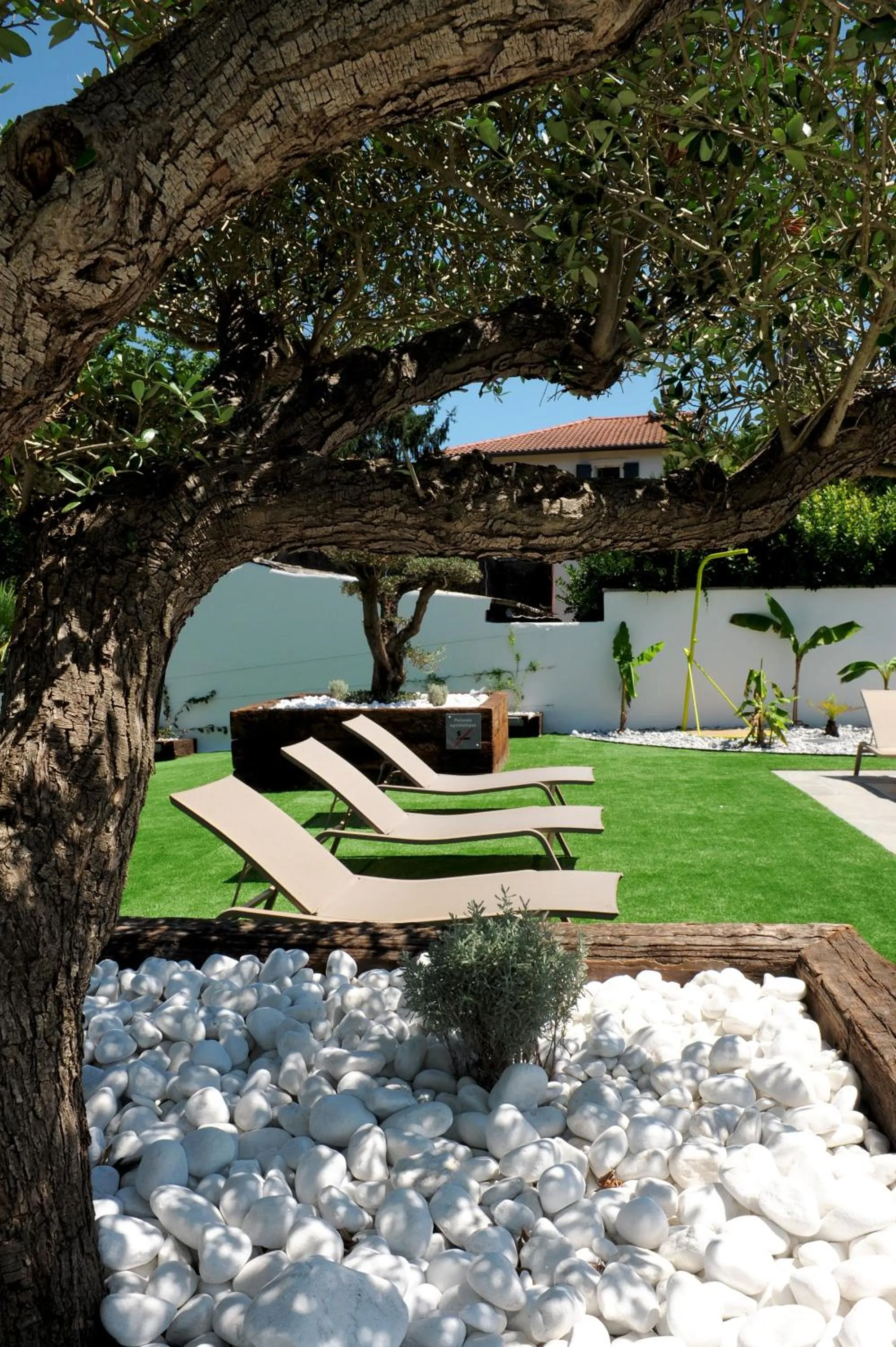 Natural landscape in Hôtel Argia