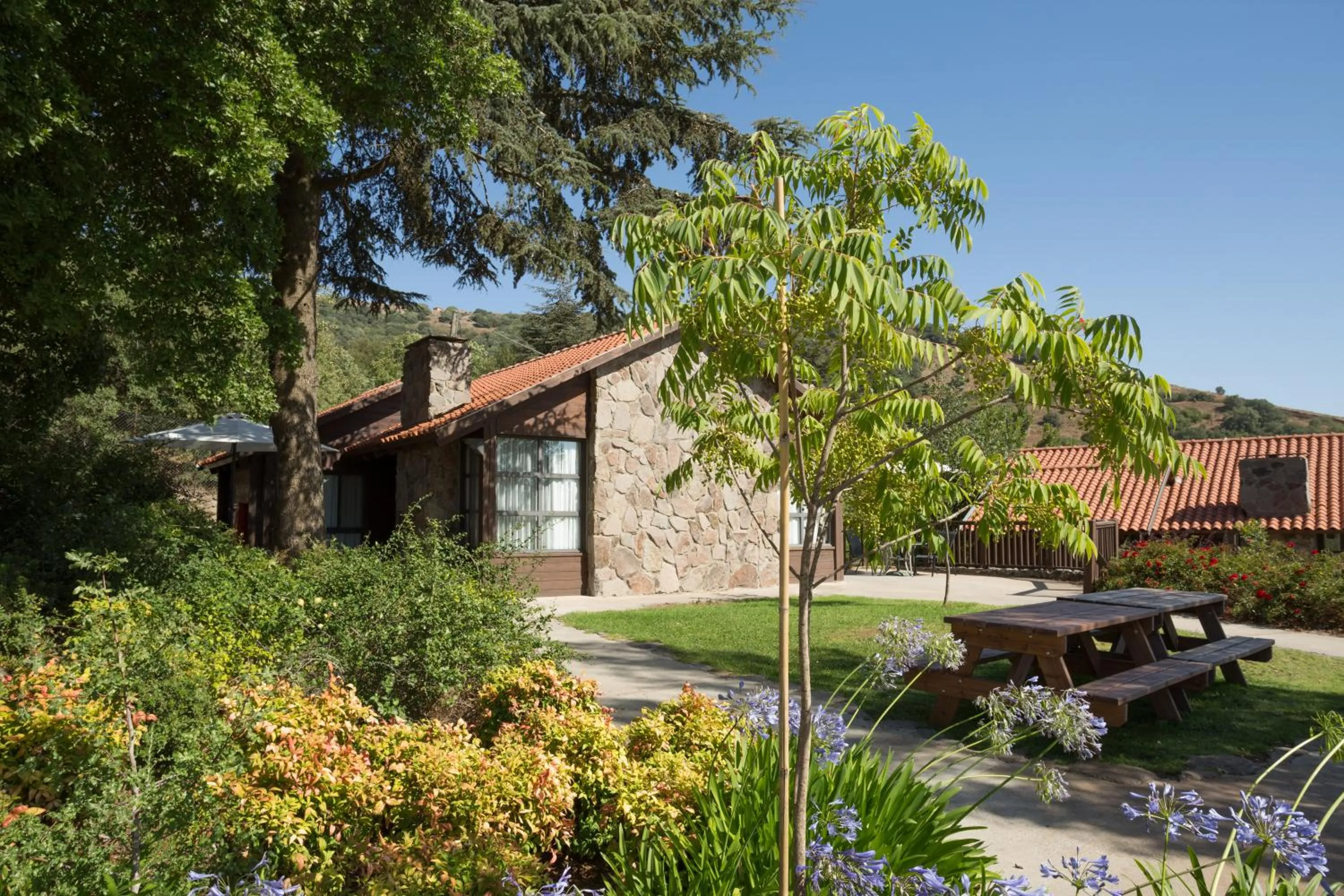 Summer in Merom Golan Resort