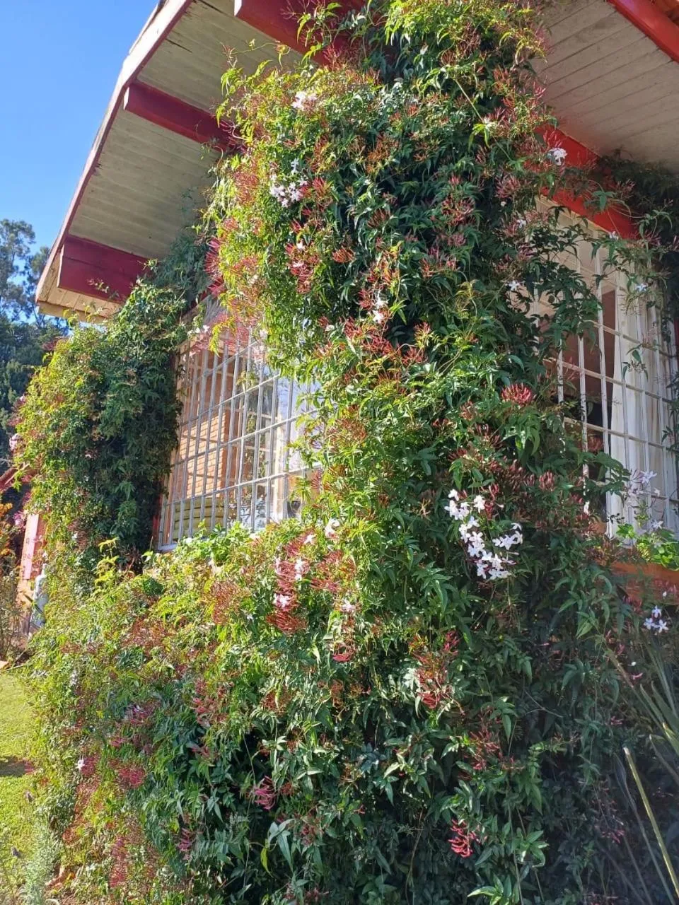 Mountain view in Sítio Paradiso