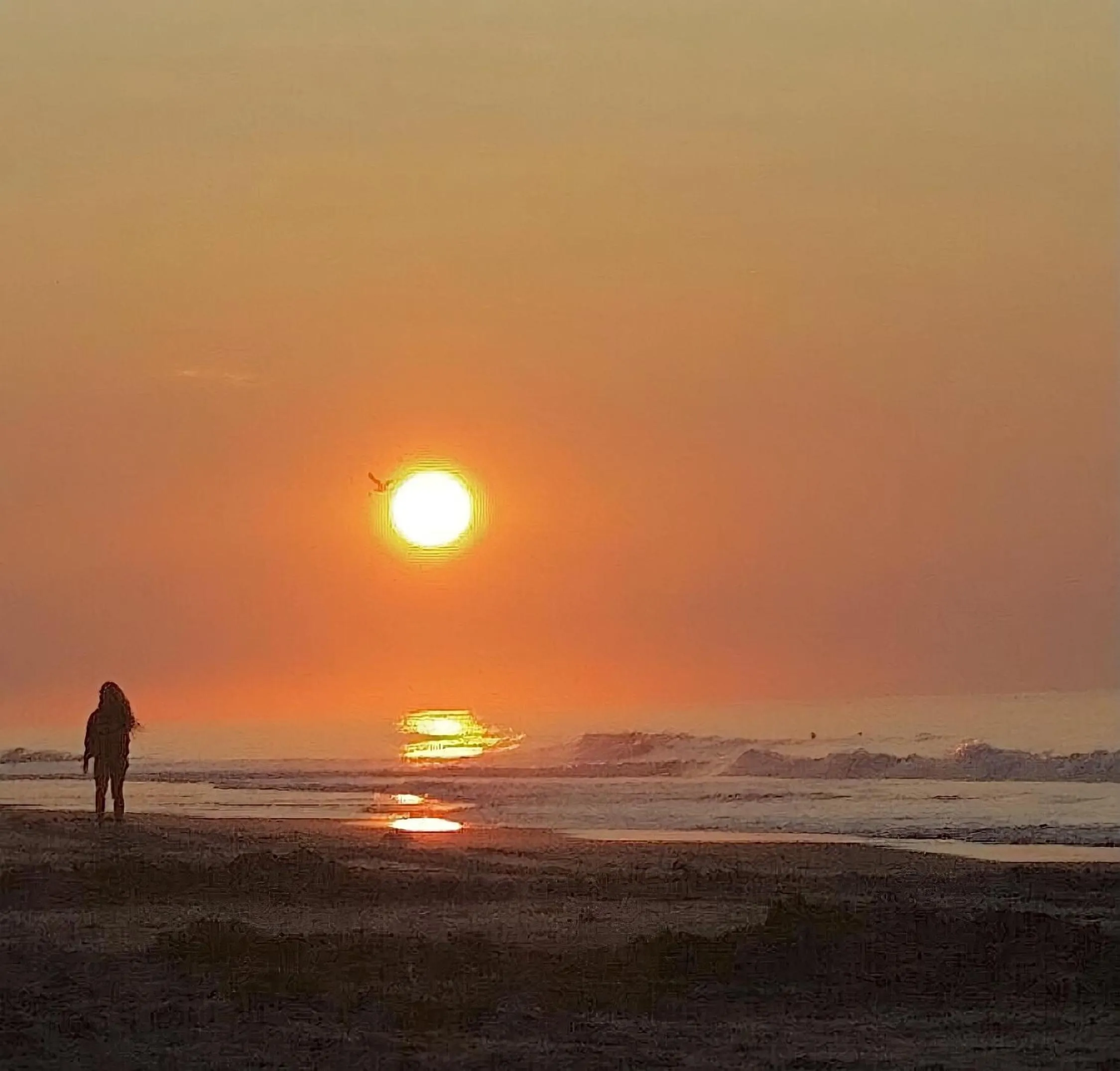 Beach in Beach Colony Motel