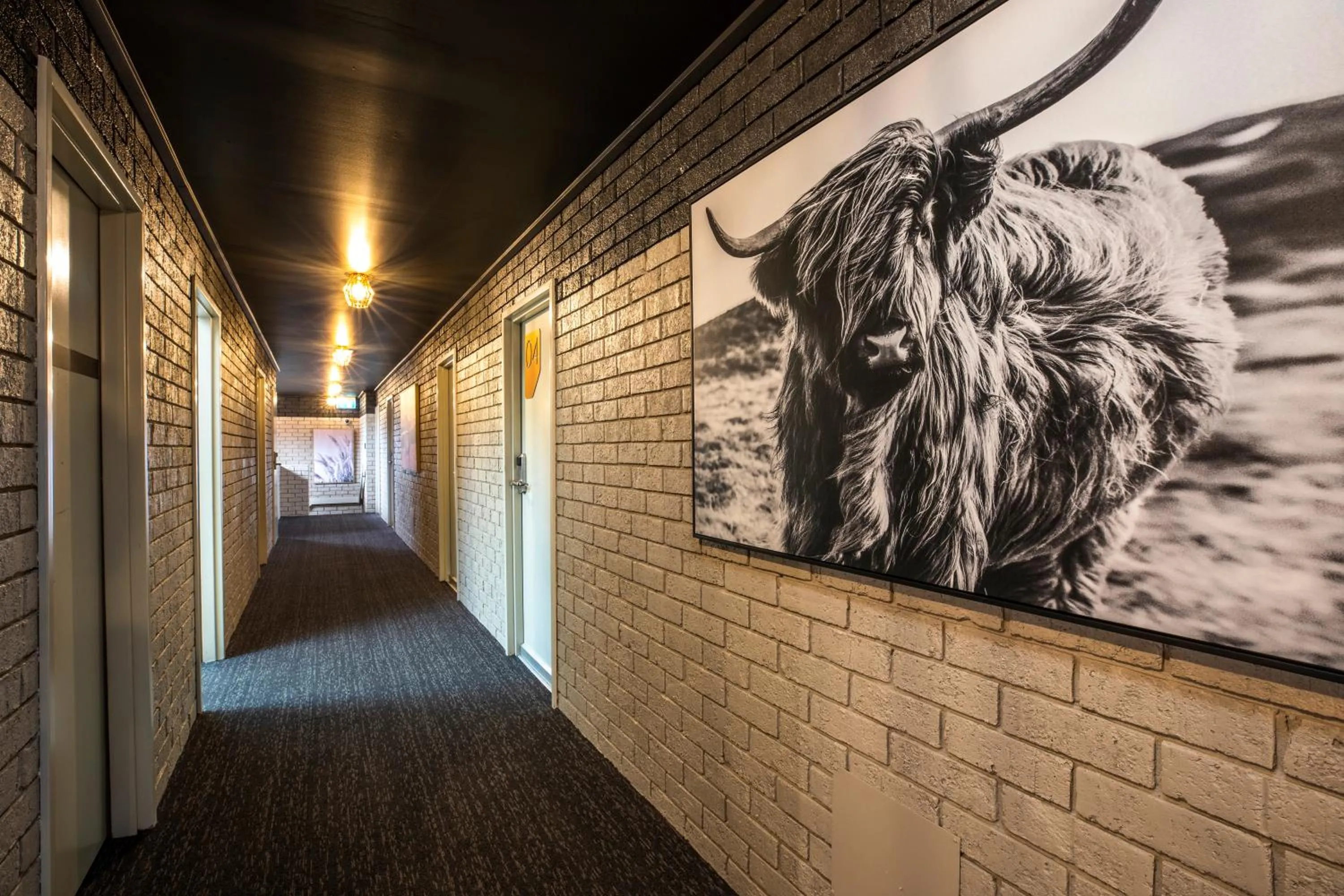 Area and facilities in Nightcap at Millers Inn